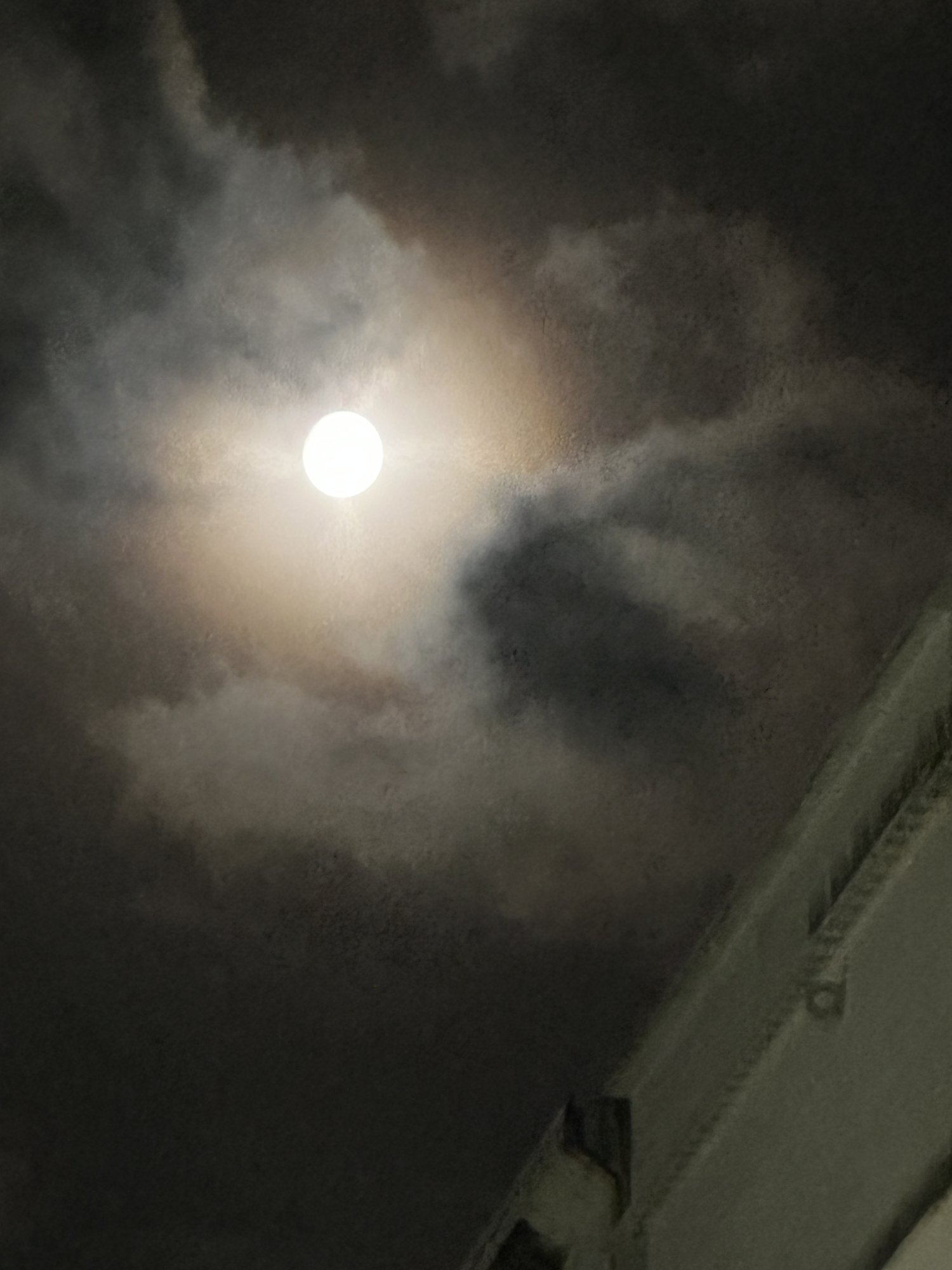 IMG_5016.jpeg