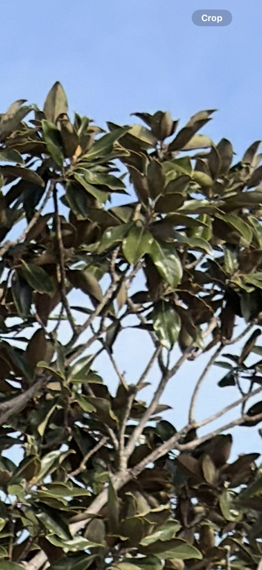 IMG_5072.png