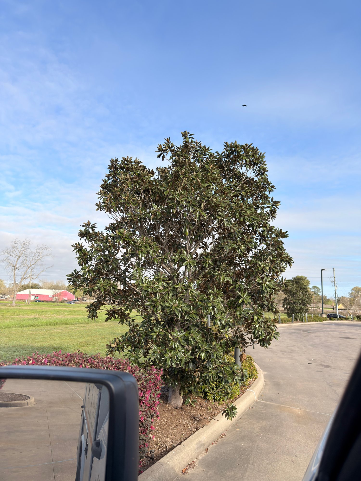 IMG_5073.jpeg