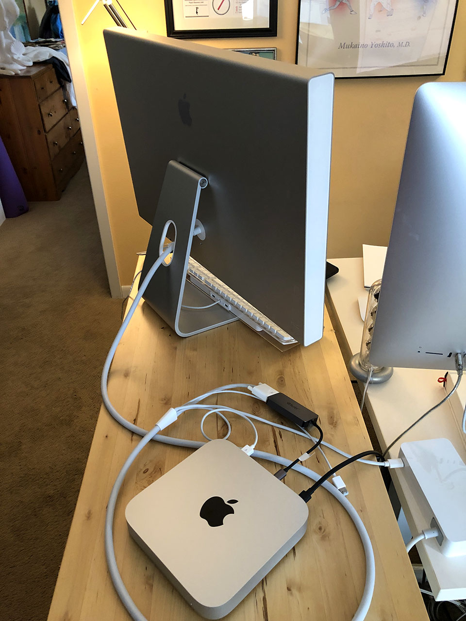 Mac Mini + Apple Cinema Display Mac Mini + Apple Cinema Display