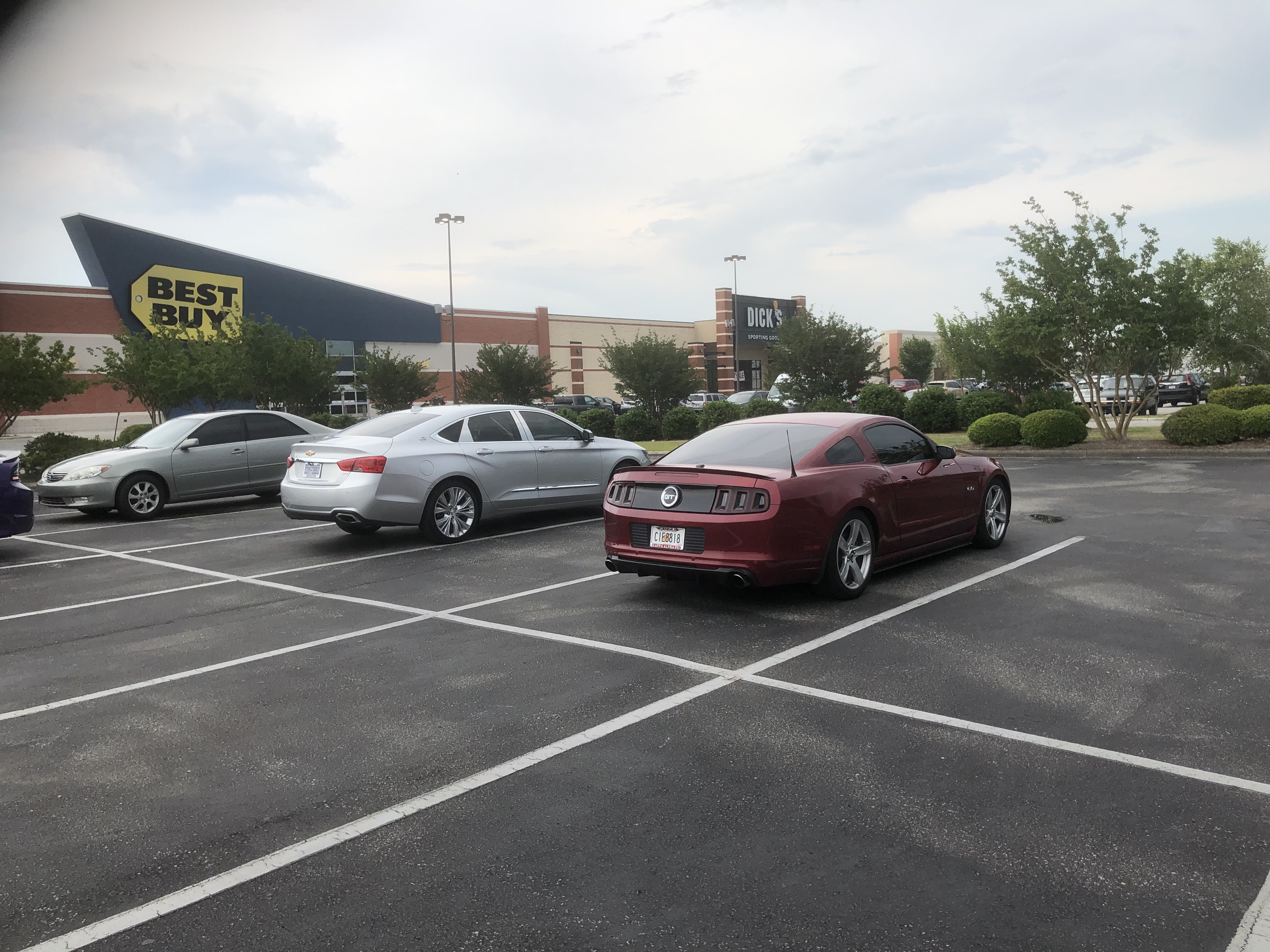 IMG_5378.jpeg