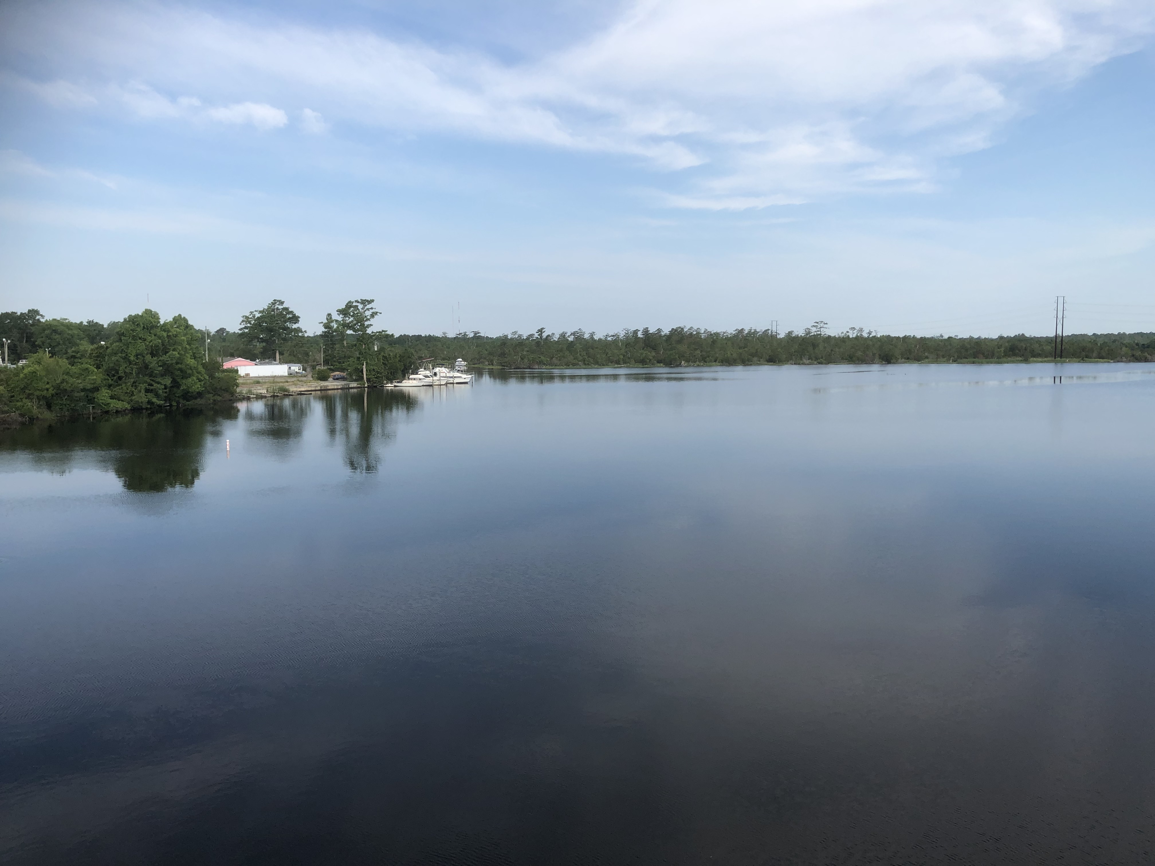 IMG_5382.jpeg