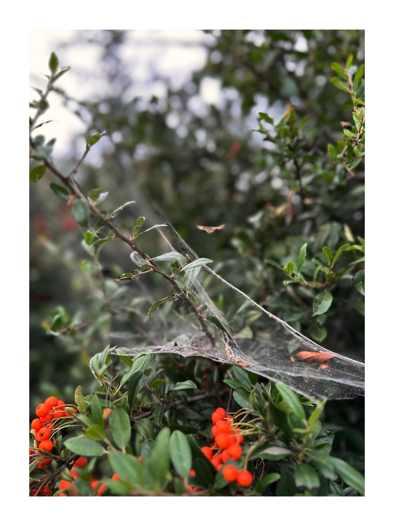 IMG_5383.jpeg