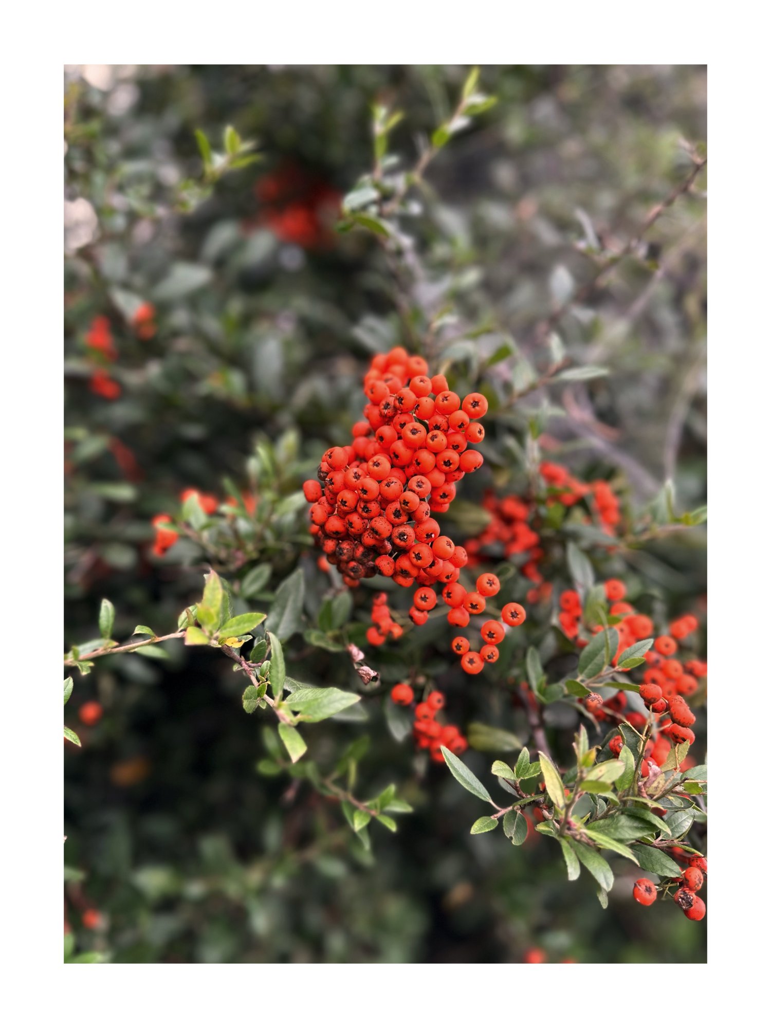 IMG_5384.jpeg