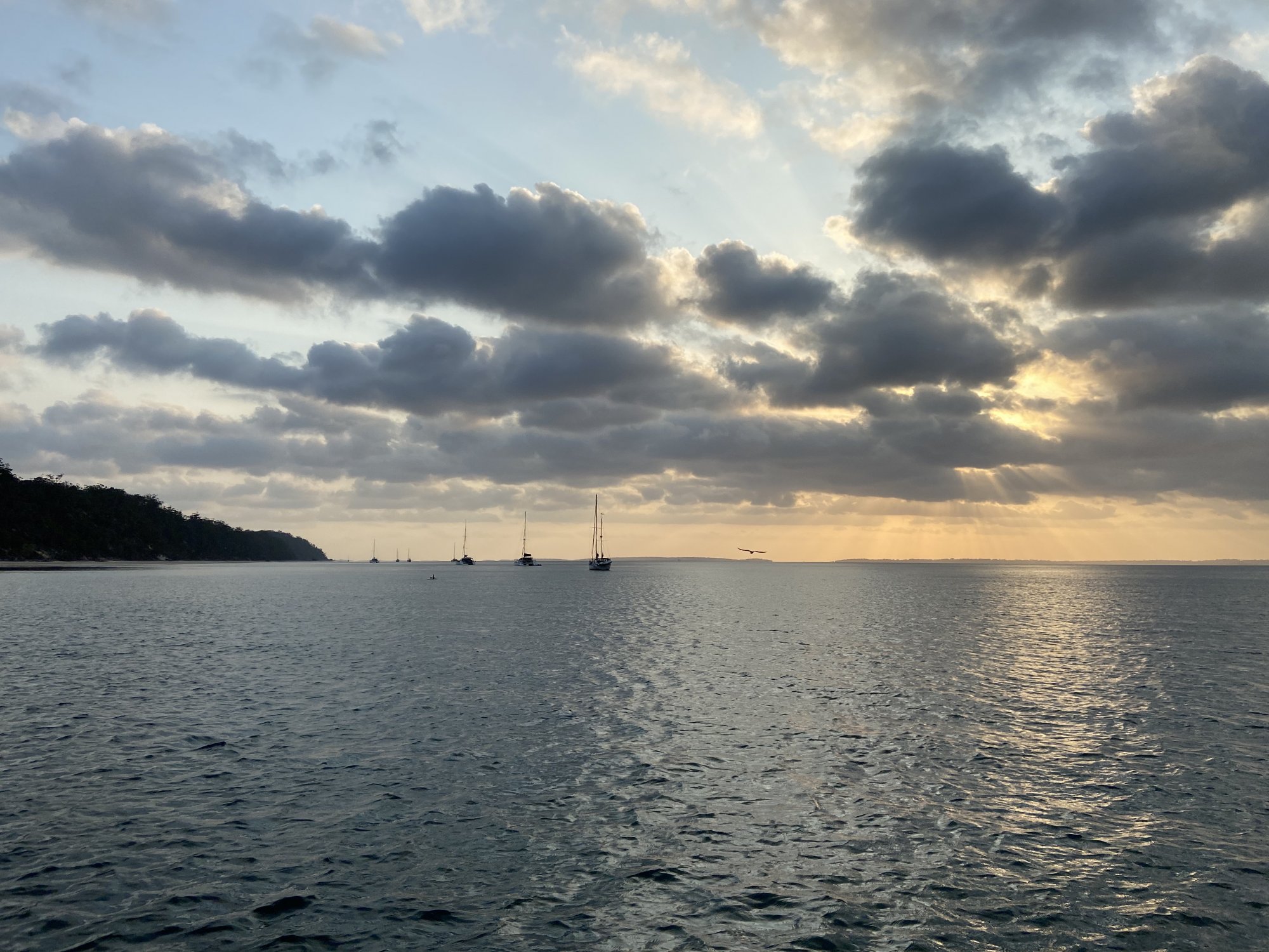 IMG_6124.jpeg