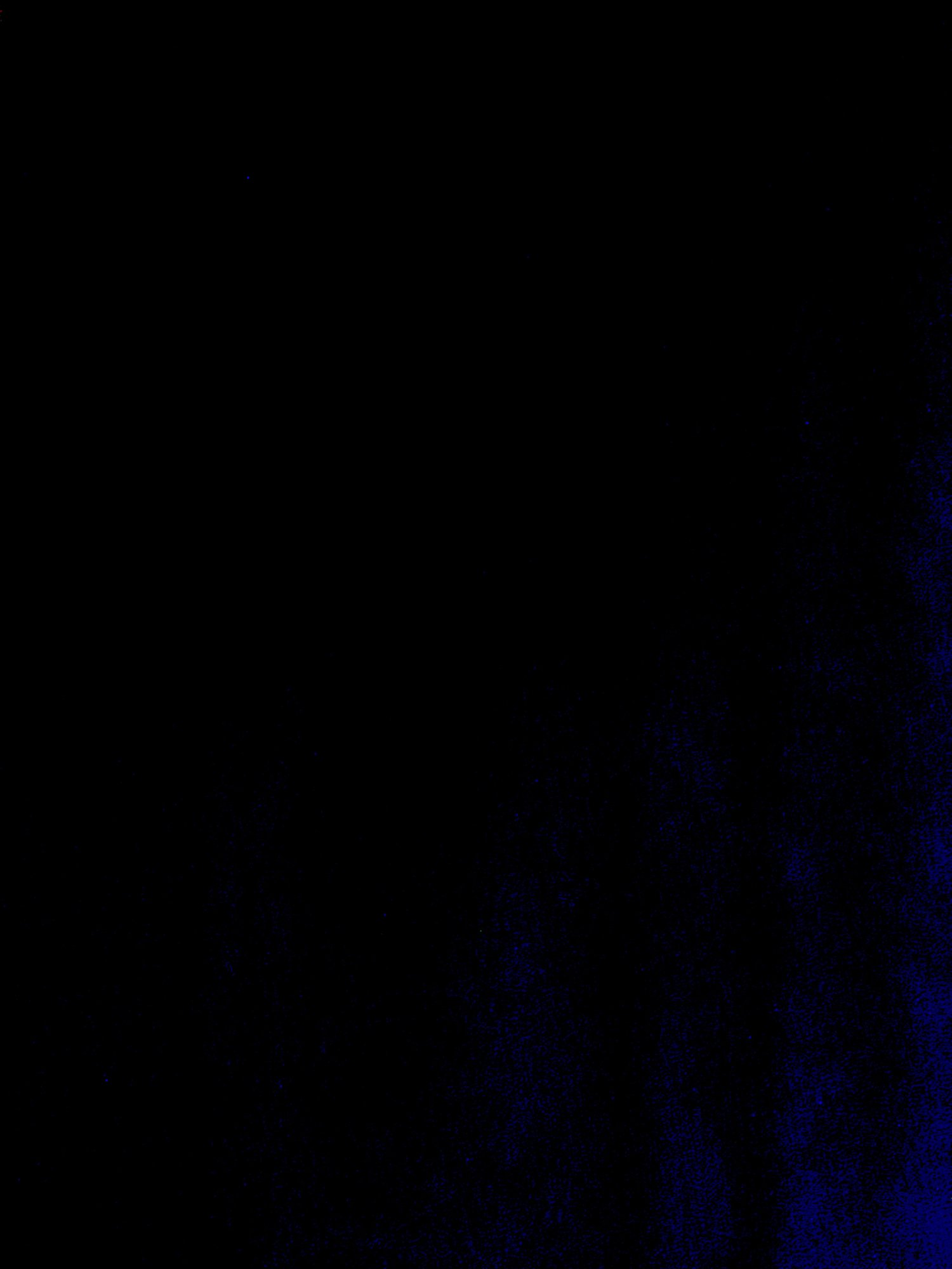IMG_6385.jpeg