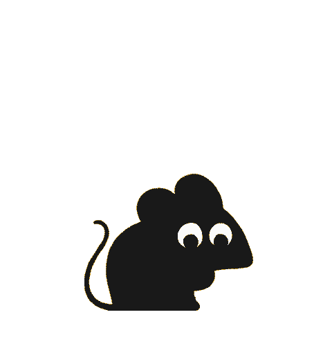 IMG_6439.gif