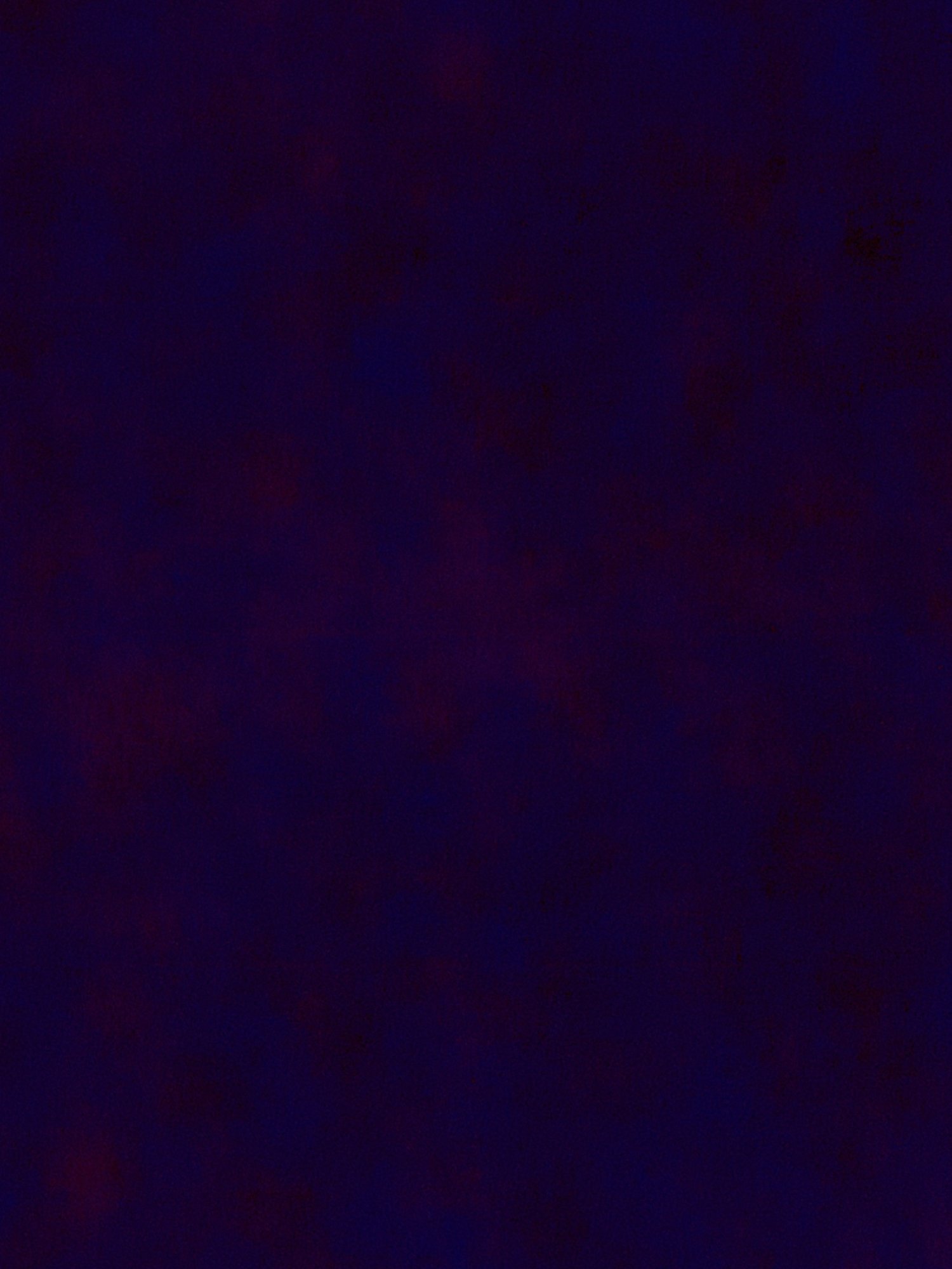 IMG_6618.jpeg