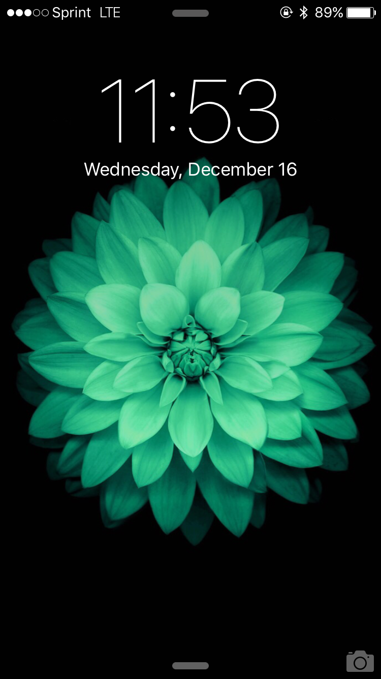 IMG_6816.PNG