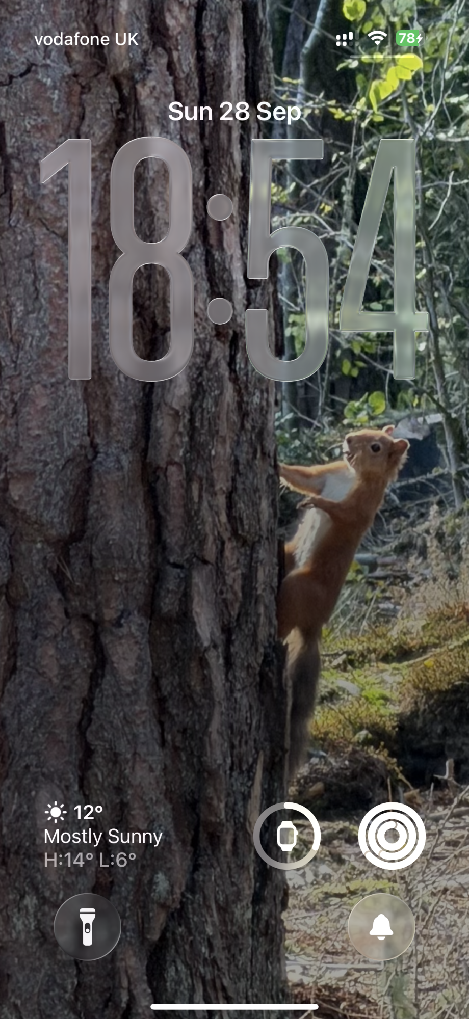 IMG_6817.png