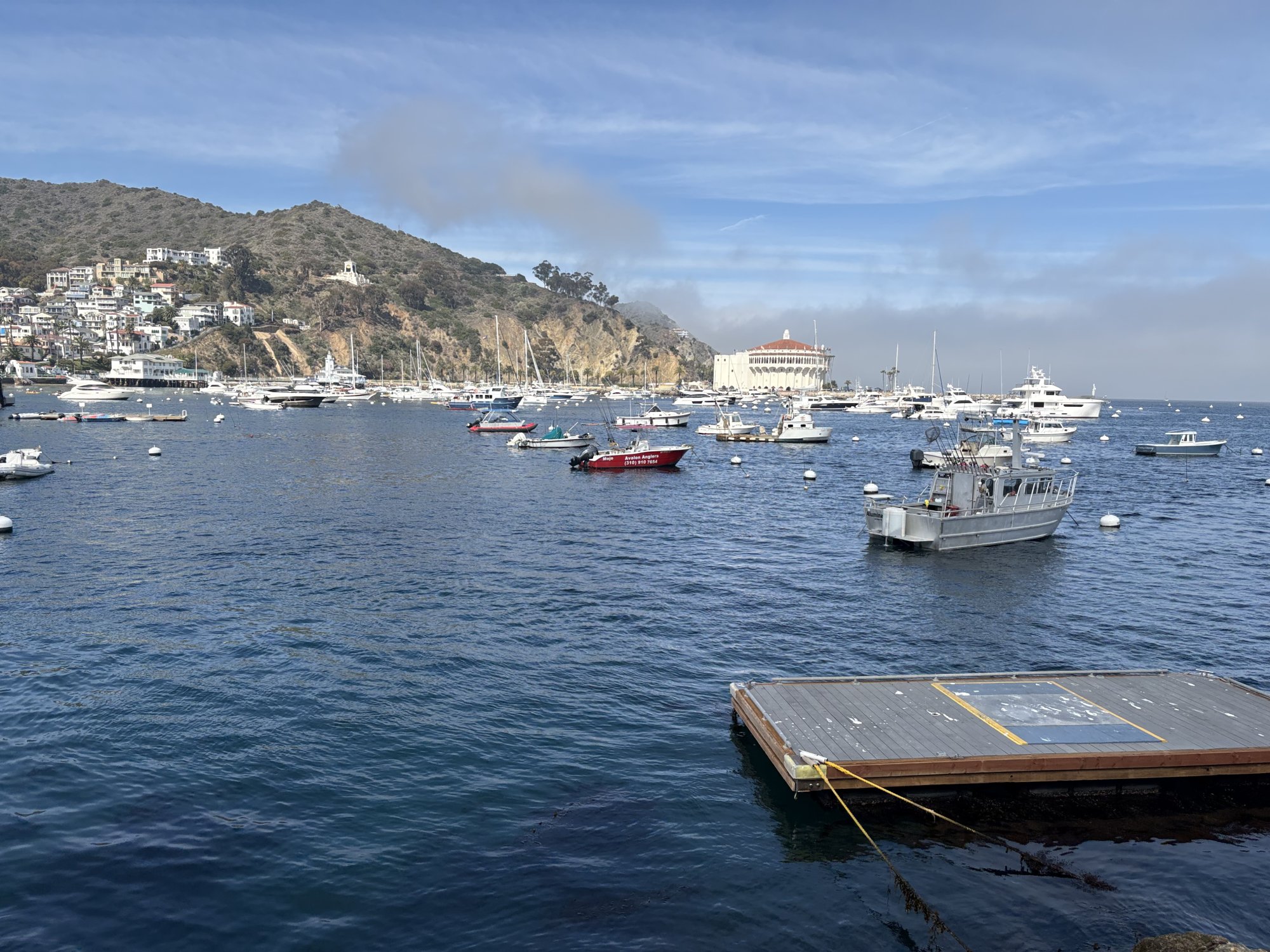 IMG_7740.jpeg