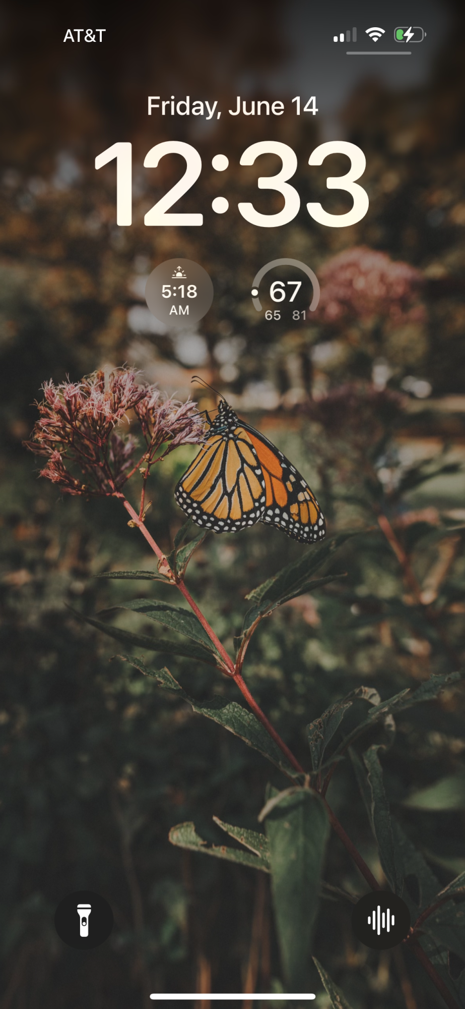 My current lock screen with the photo rendered as intended.
