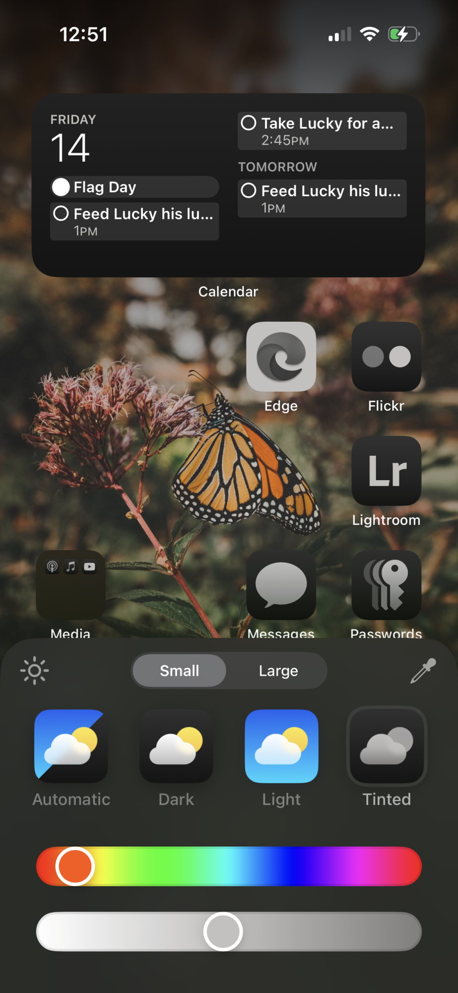 The new home screen customization features in iOS 18.