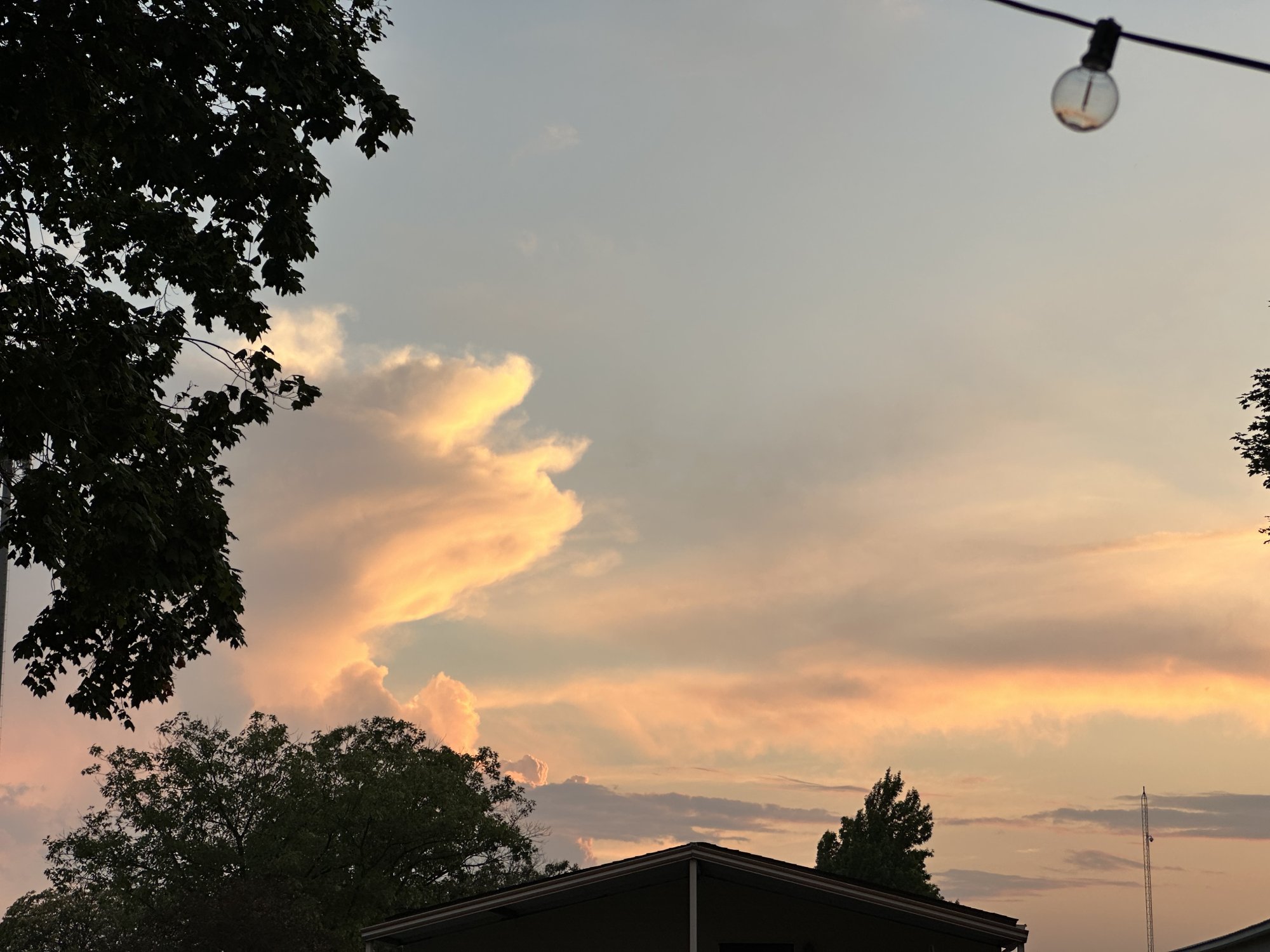 IMG_7930.jpeg