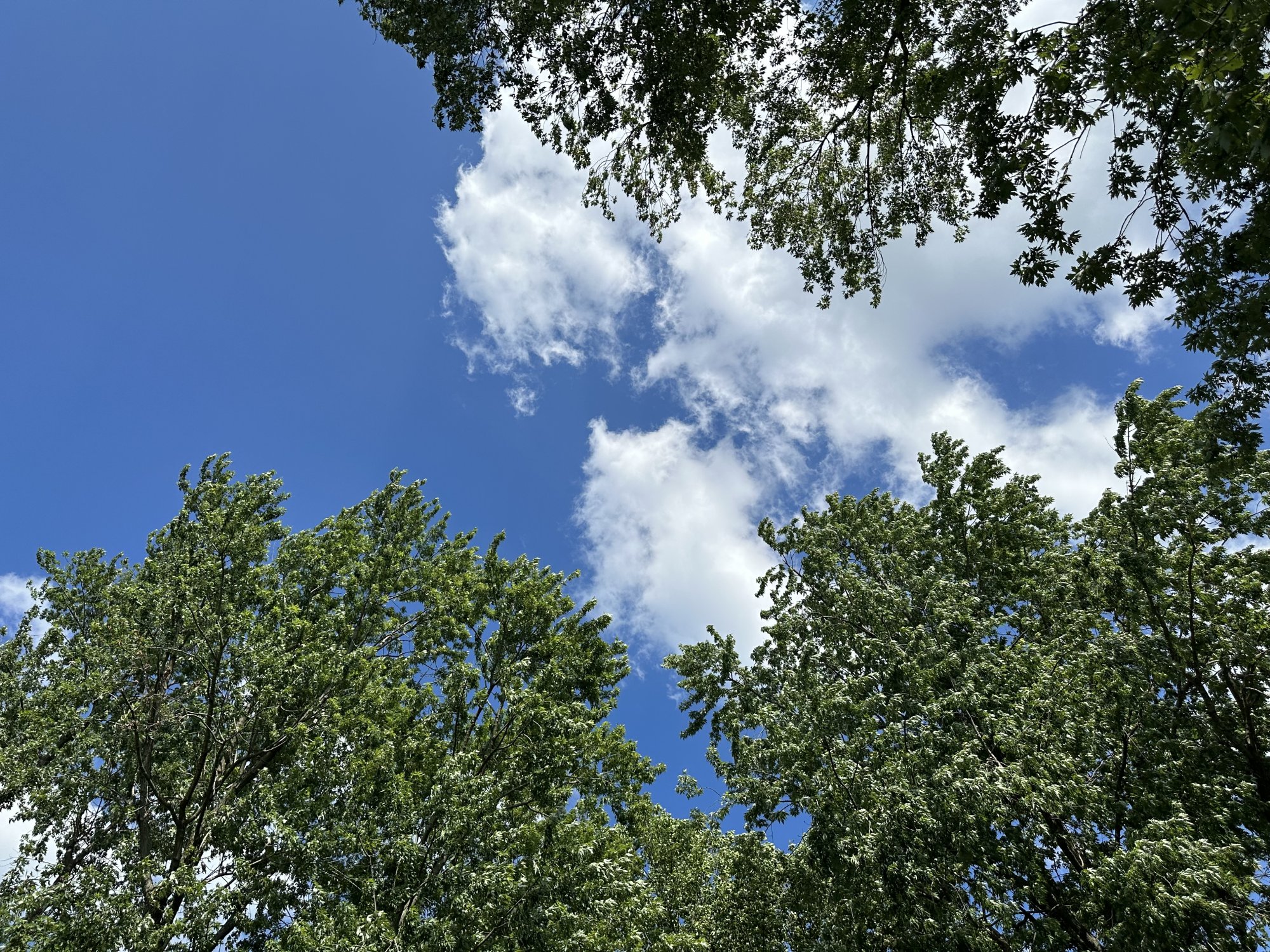 IMG_7947.jpeg