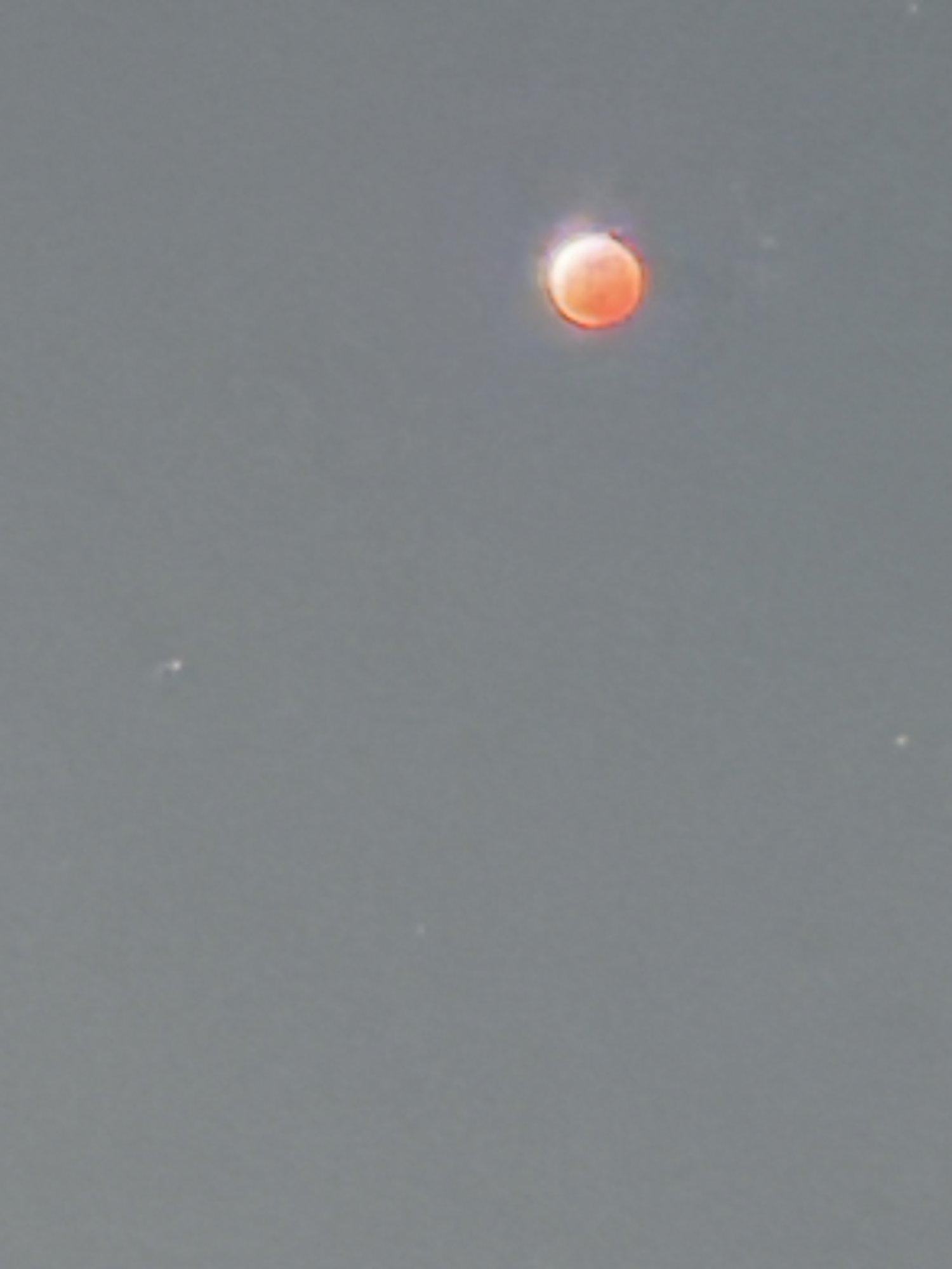 IMG_7994.jpeg