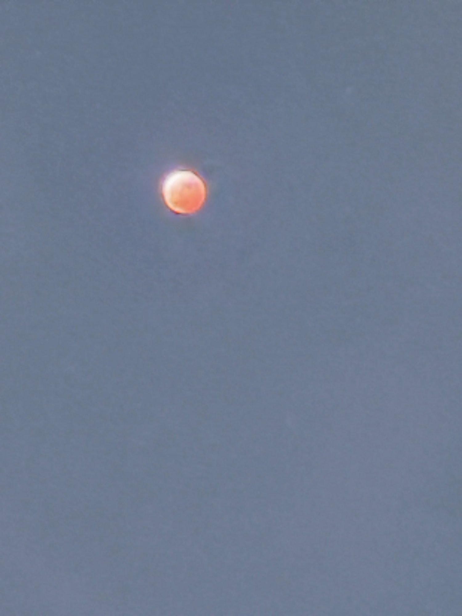 IMG_8011.jpeg
