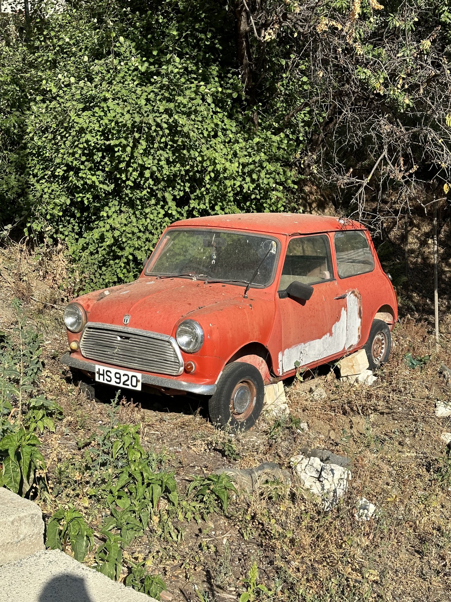 IMG_8257.jpeg