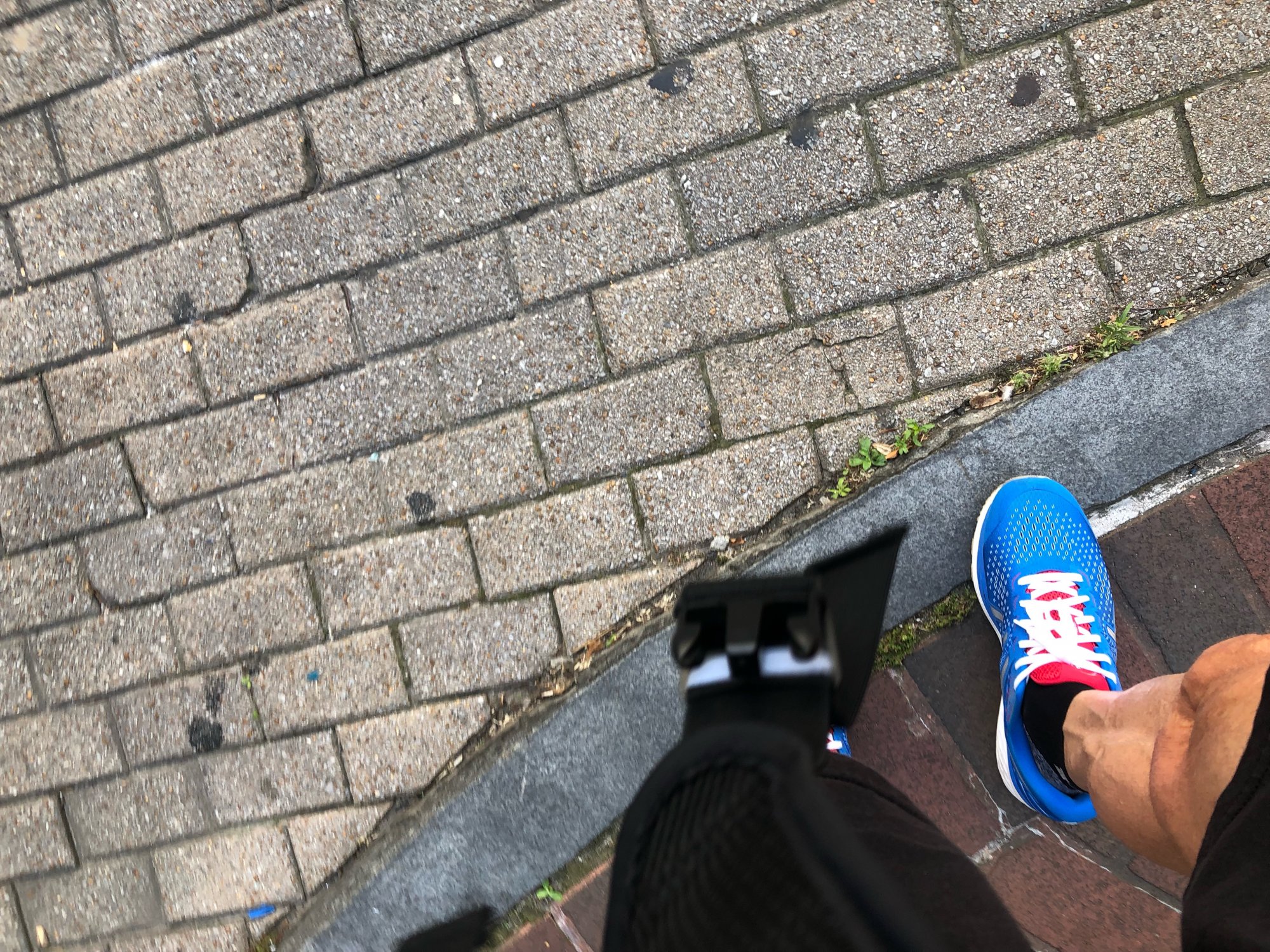 IMG_8266.jpeg