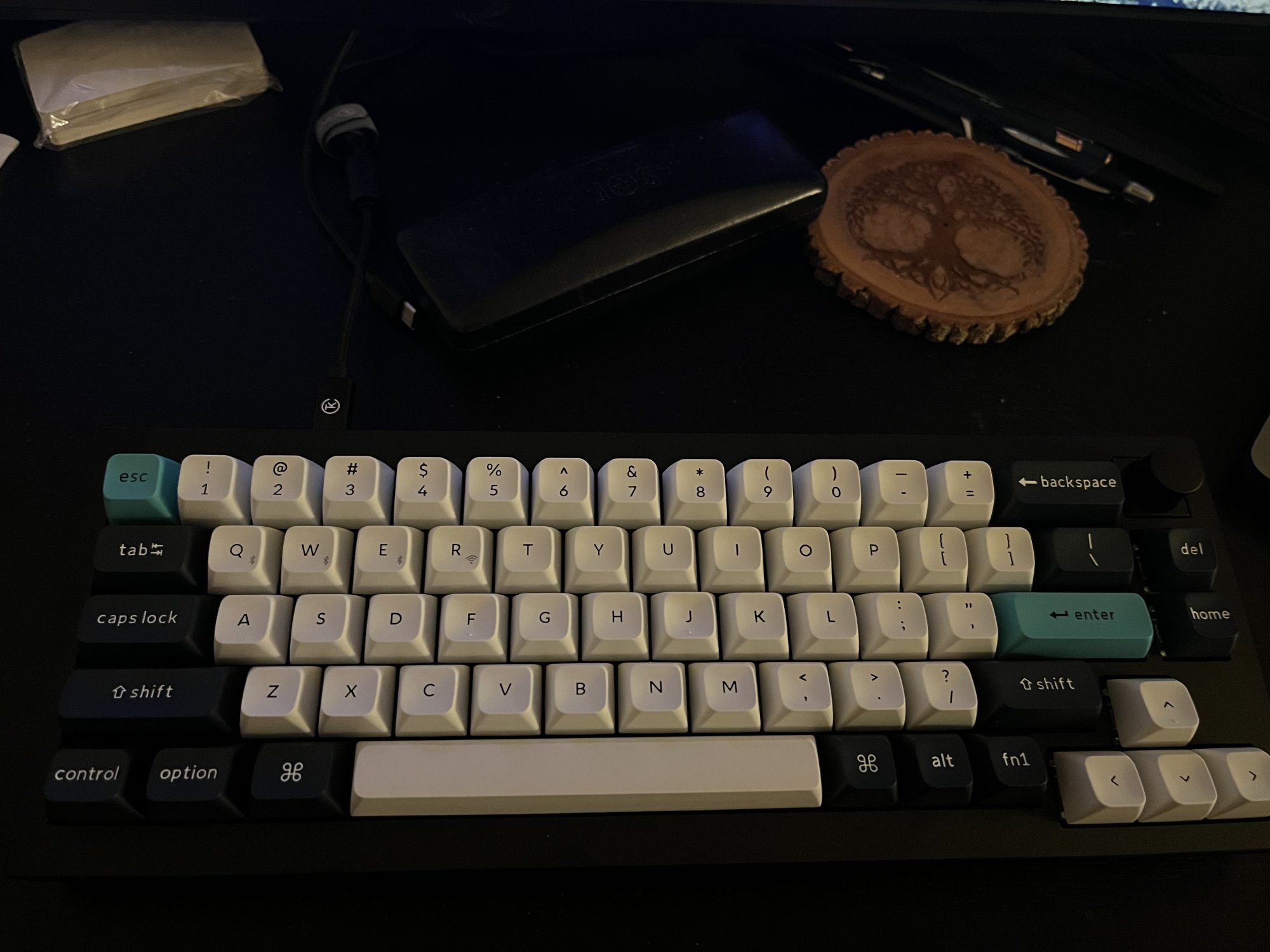 IMG_8326.jpeg