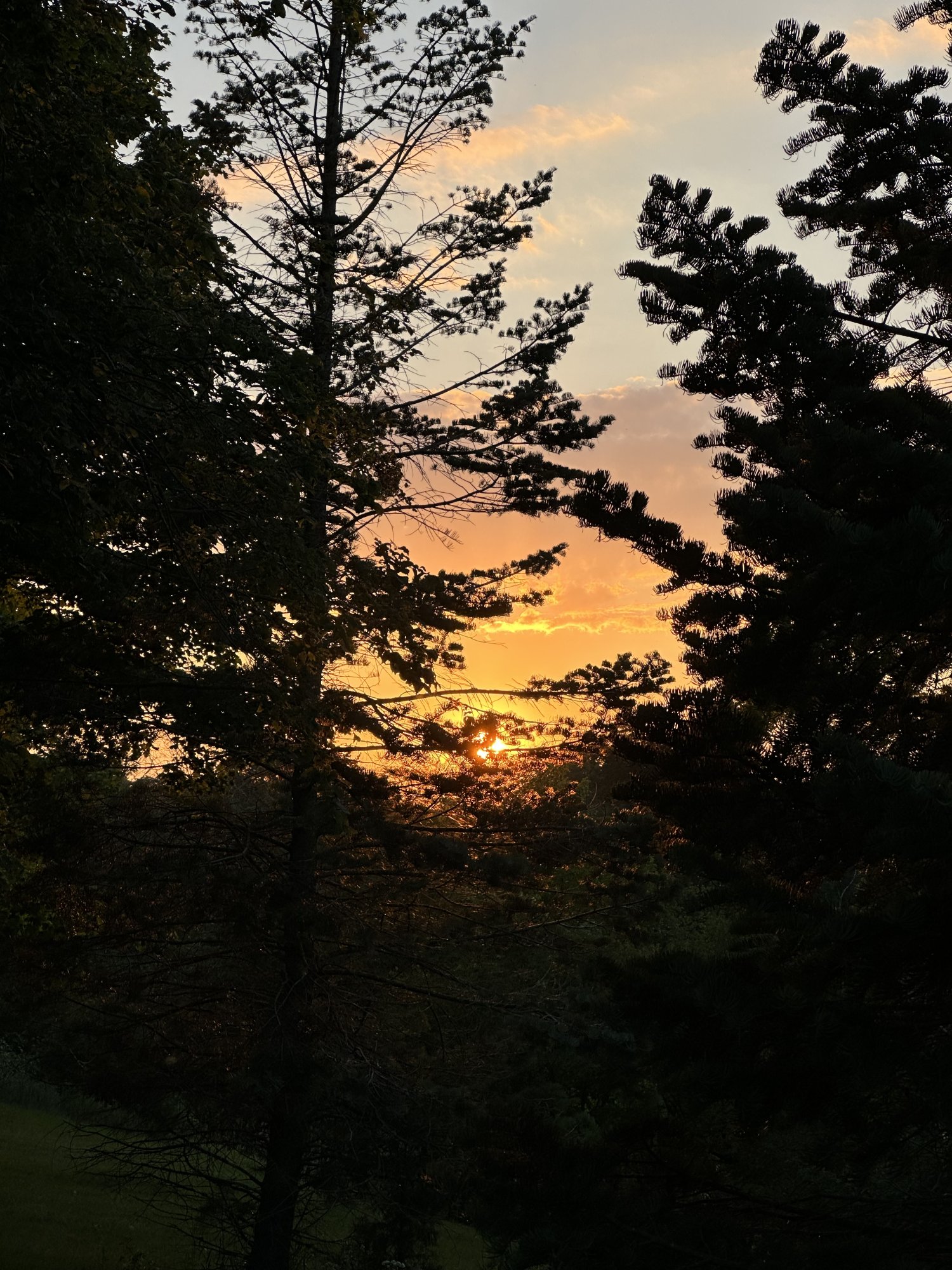 IMG_8667.jpeg