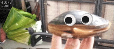 IMG_8883.gif