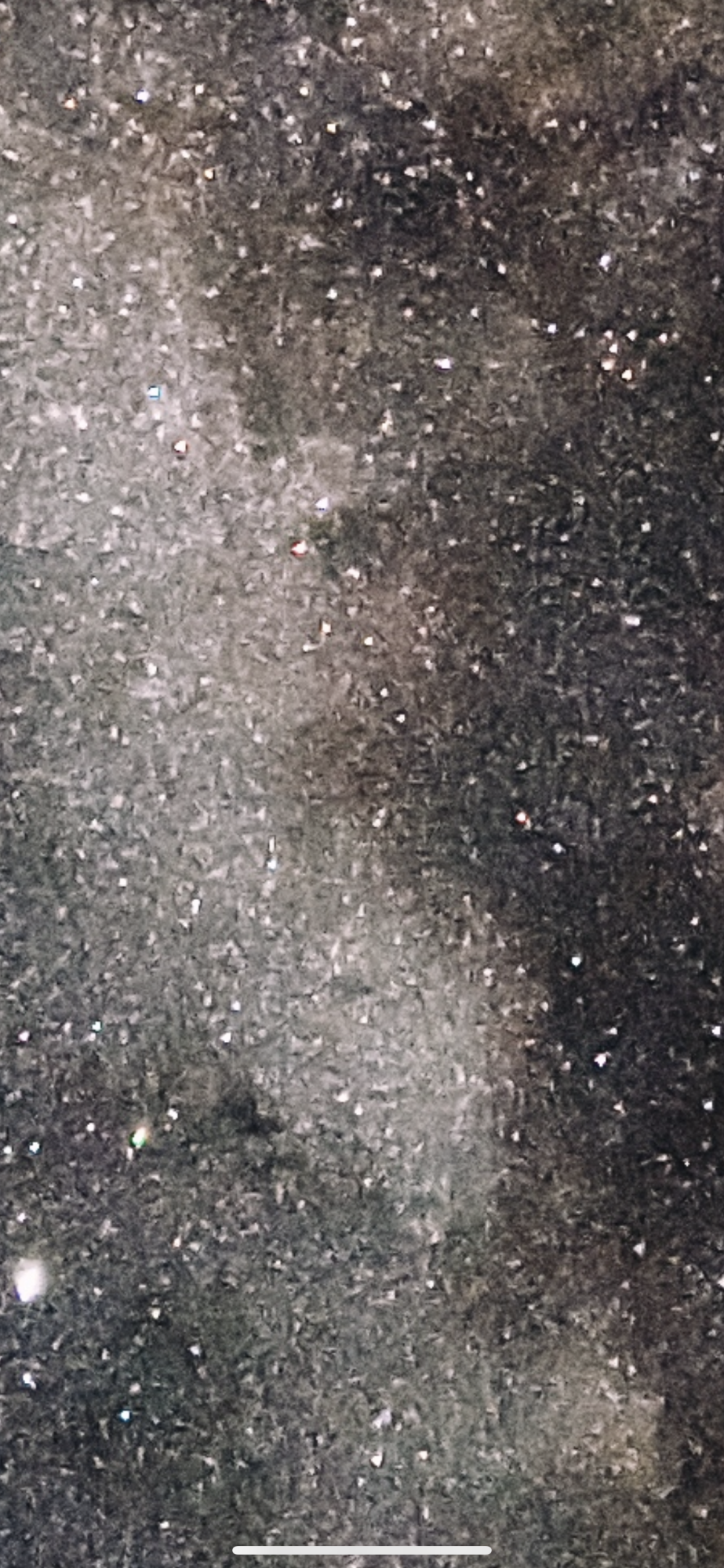 IMG_9163.png
