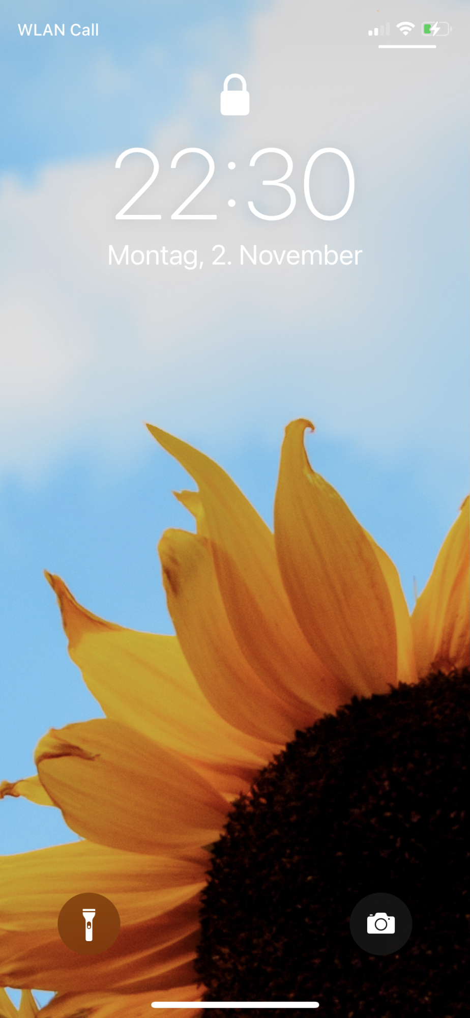 IMG_9225.PNG
