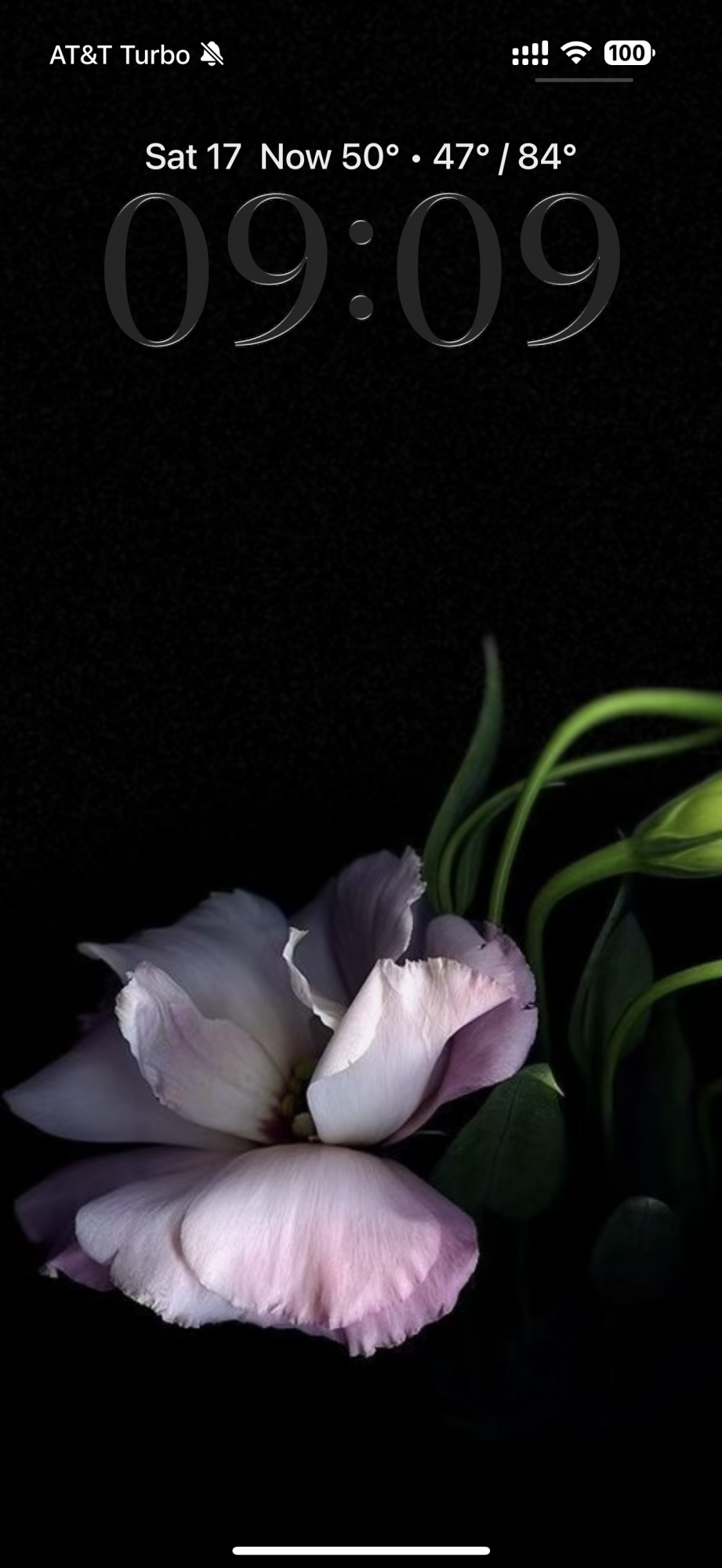 IMG_9356.png
