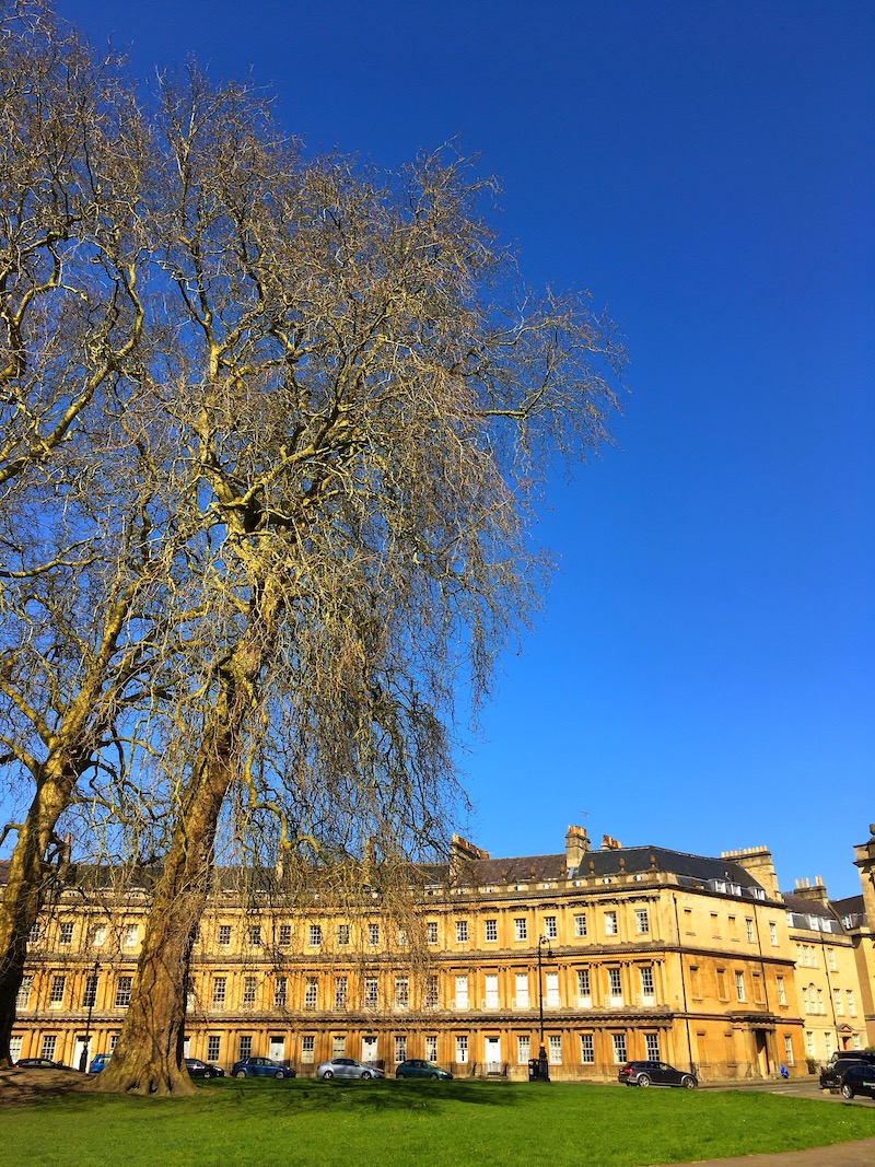 IMG_9370.jpeg