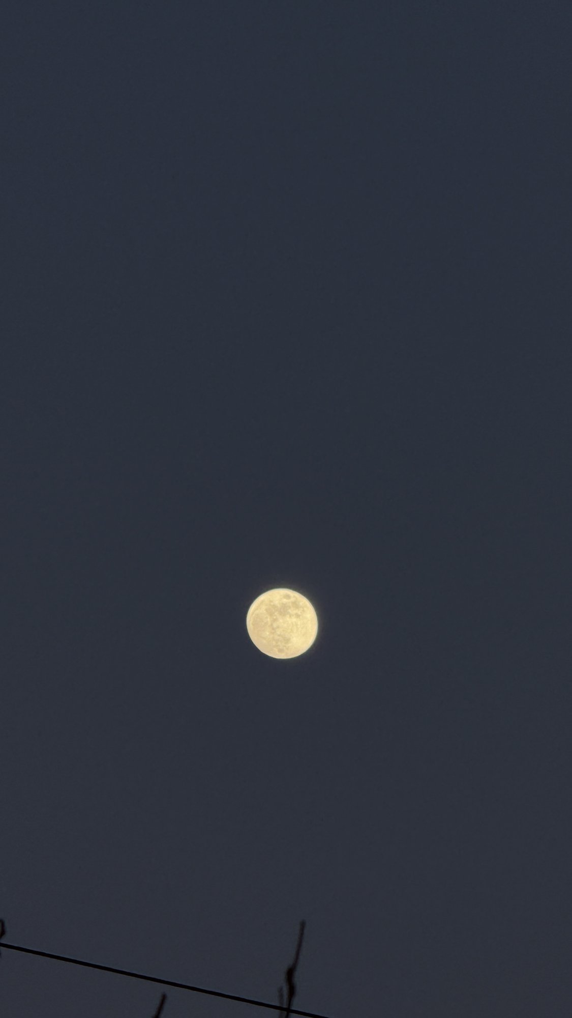 IMG_9803.jpg