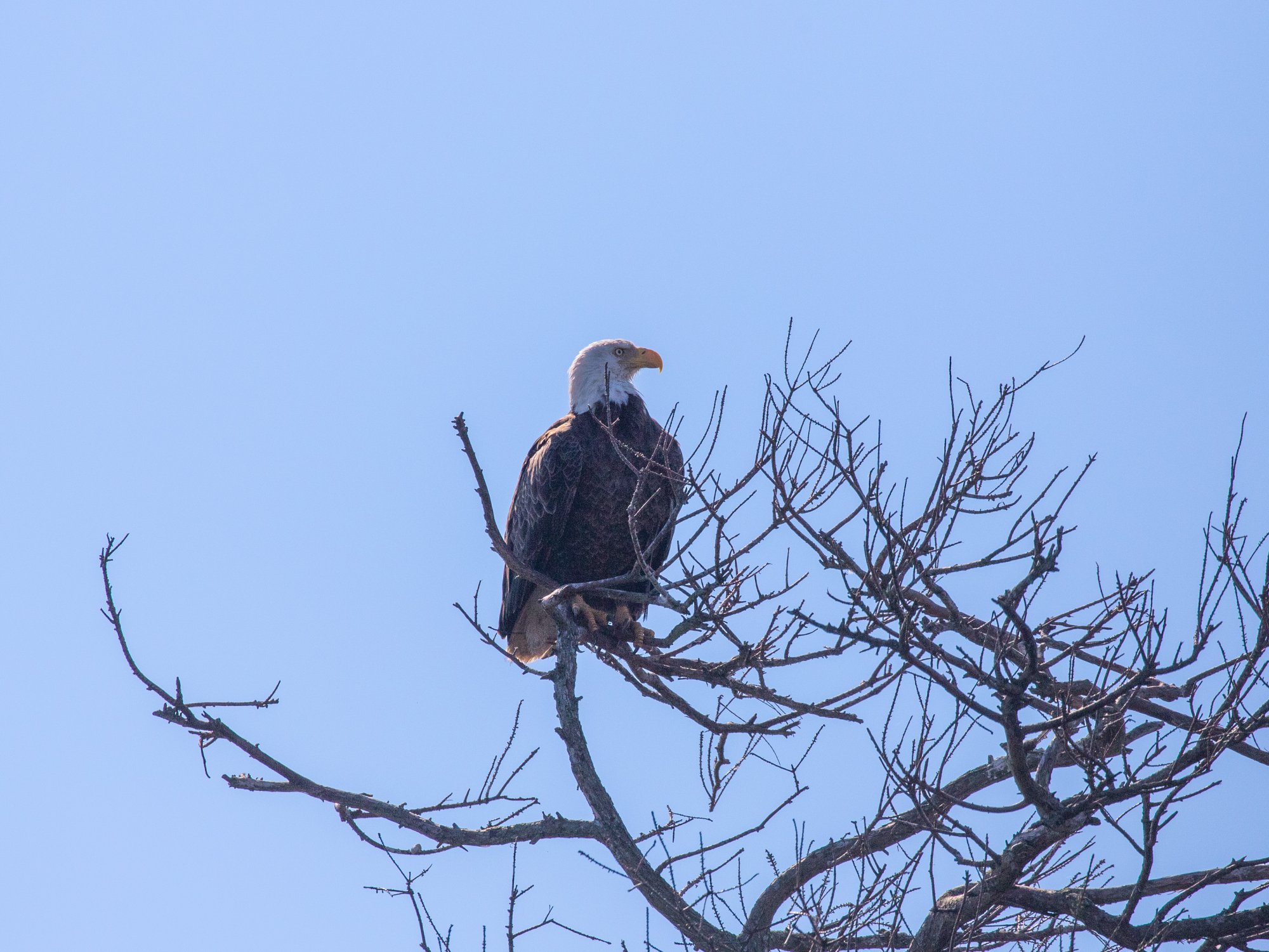 IMG_9861.jpg