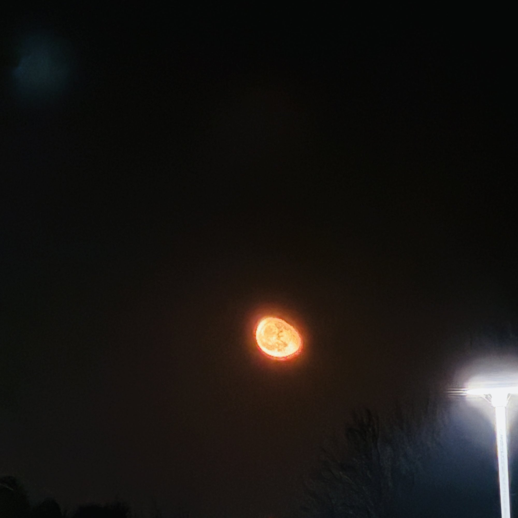 IMG_9884.jpeg