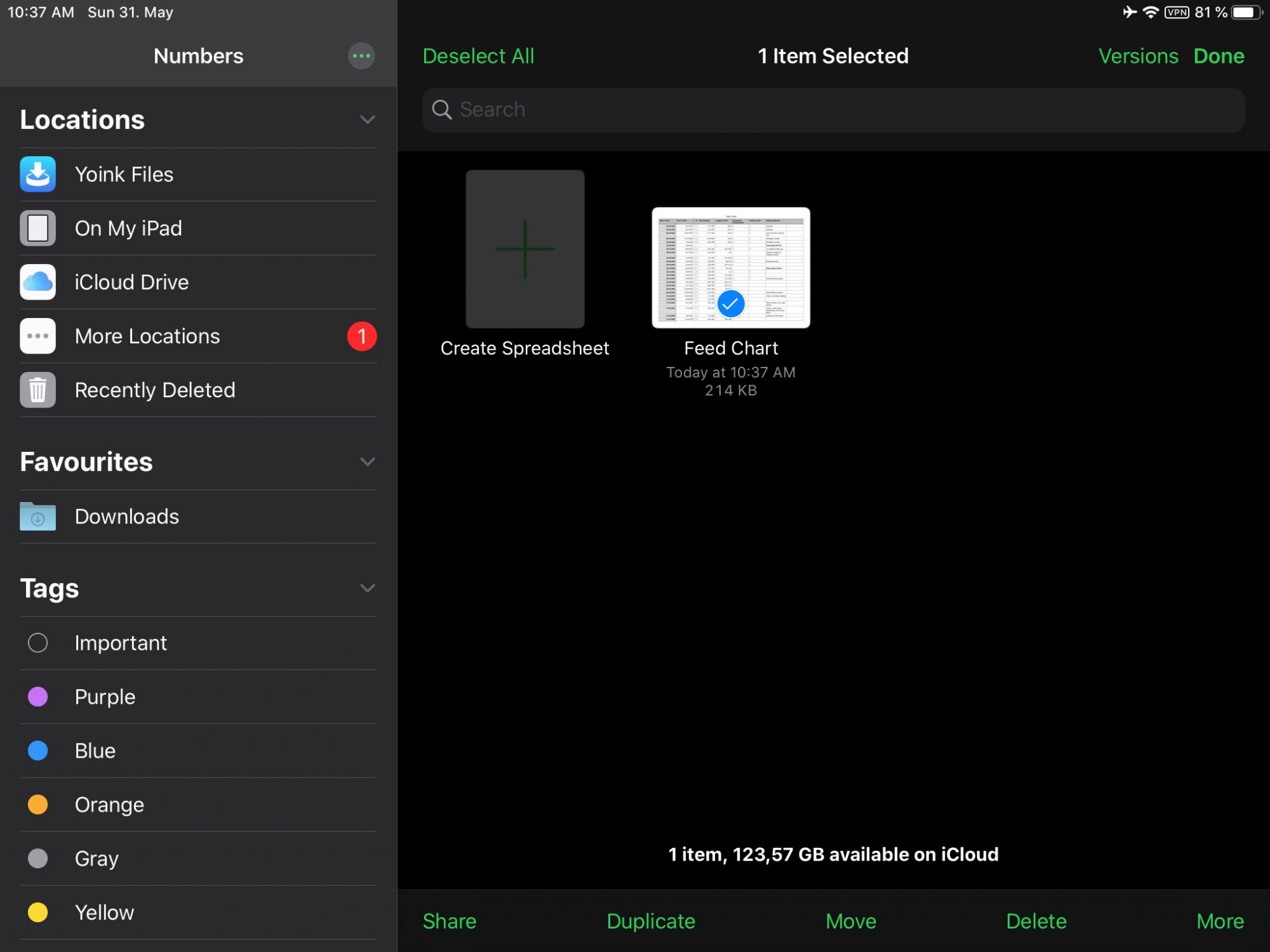 iPad-versions.jpg