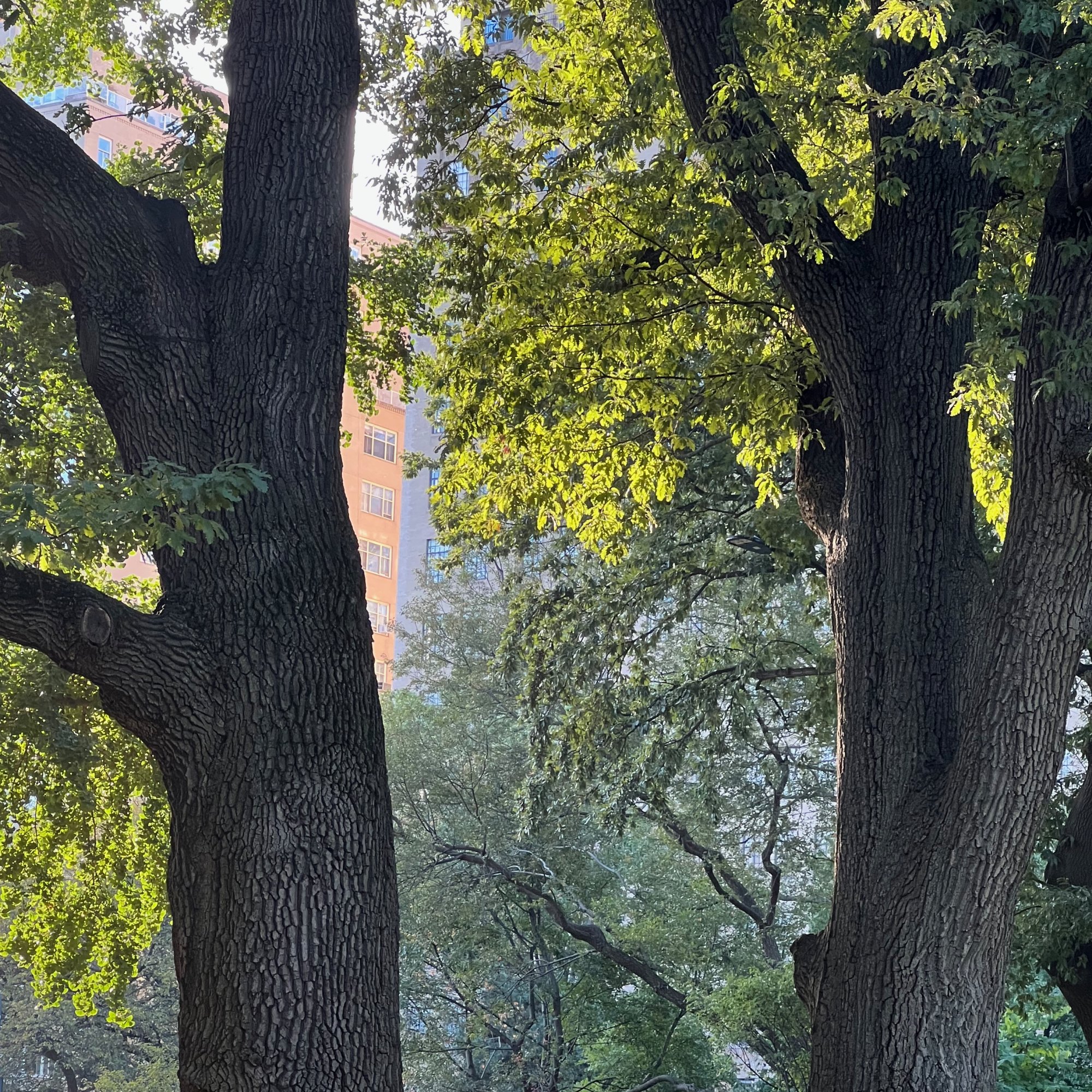 iPhone 13 Pro - Light Example.jpeg