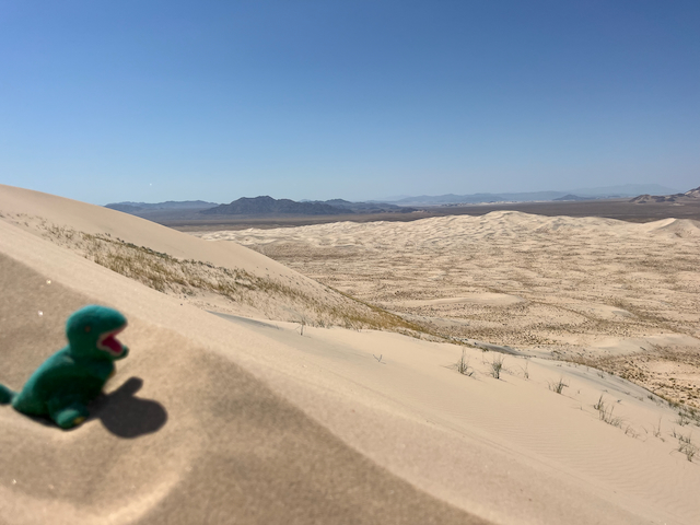 Kelso-Dunes.jpg