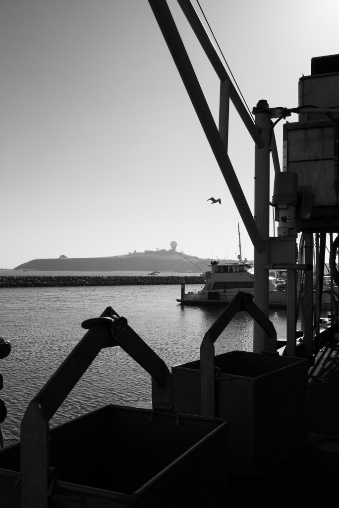 L1000818.jpg