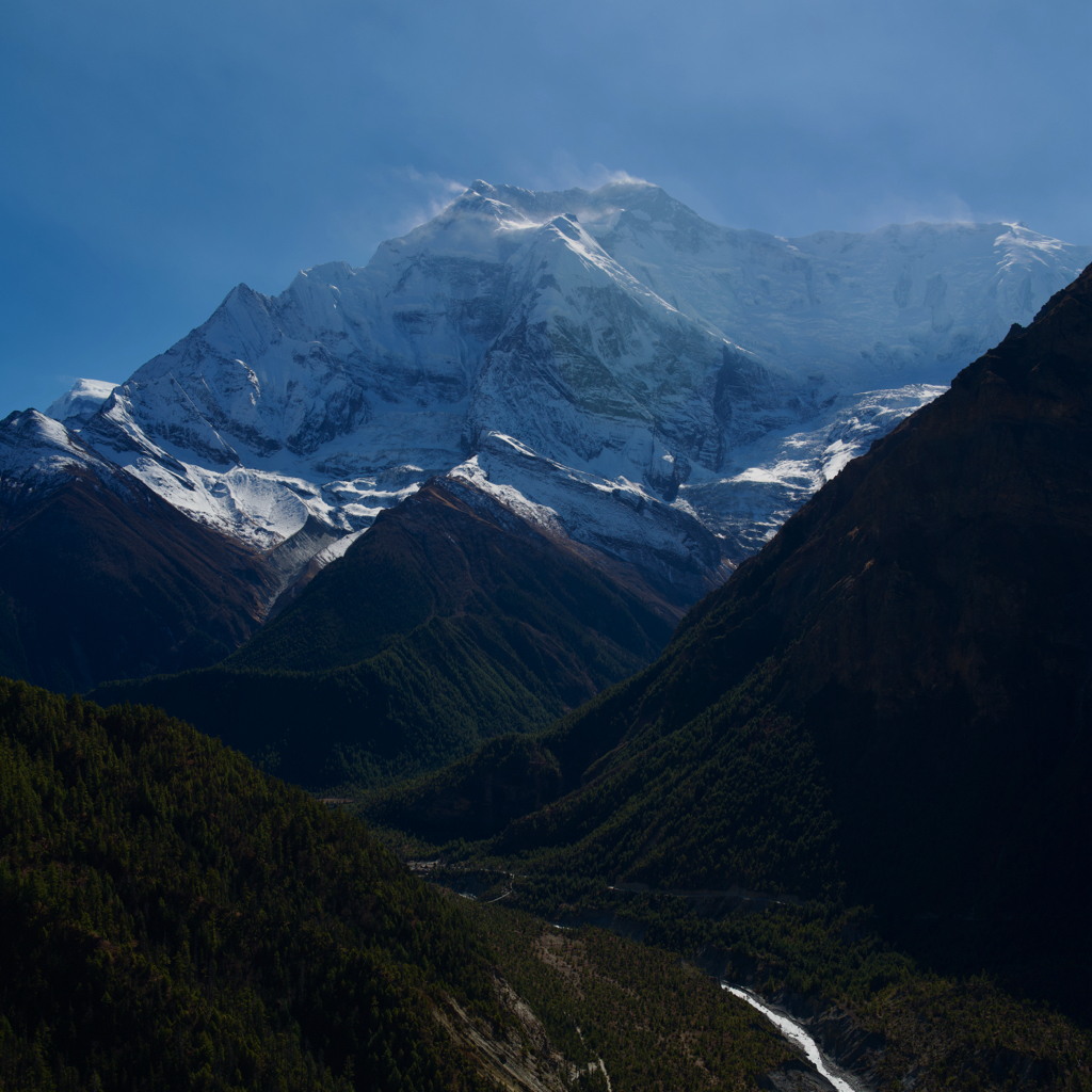 L1000883.jpg