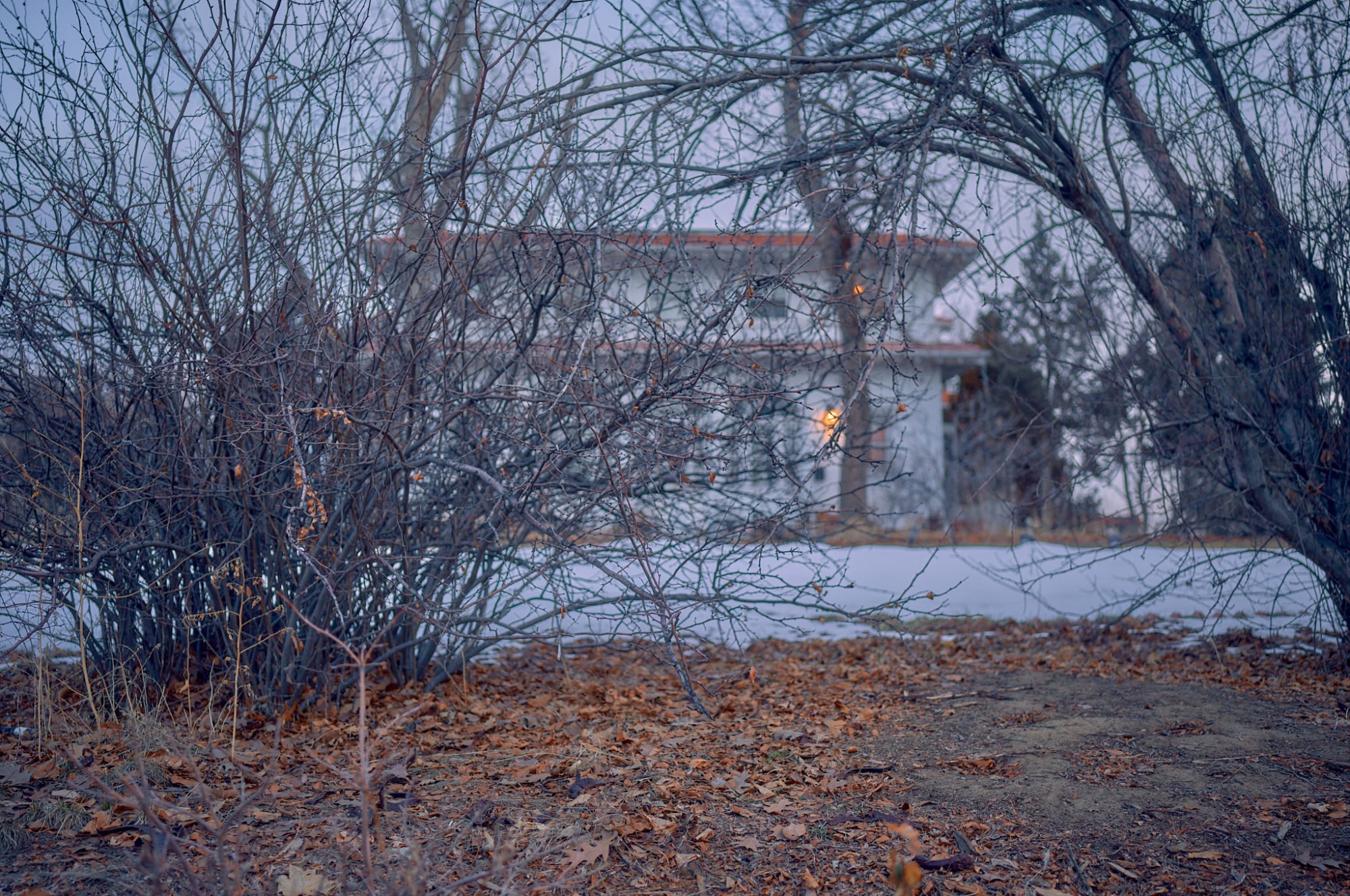 L1002005.jpg