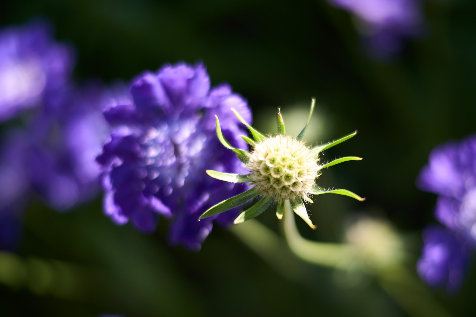 L1003255.jpg