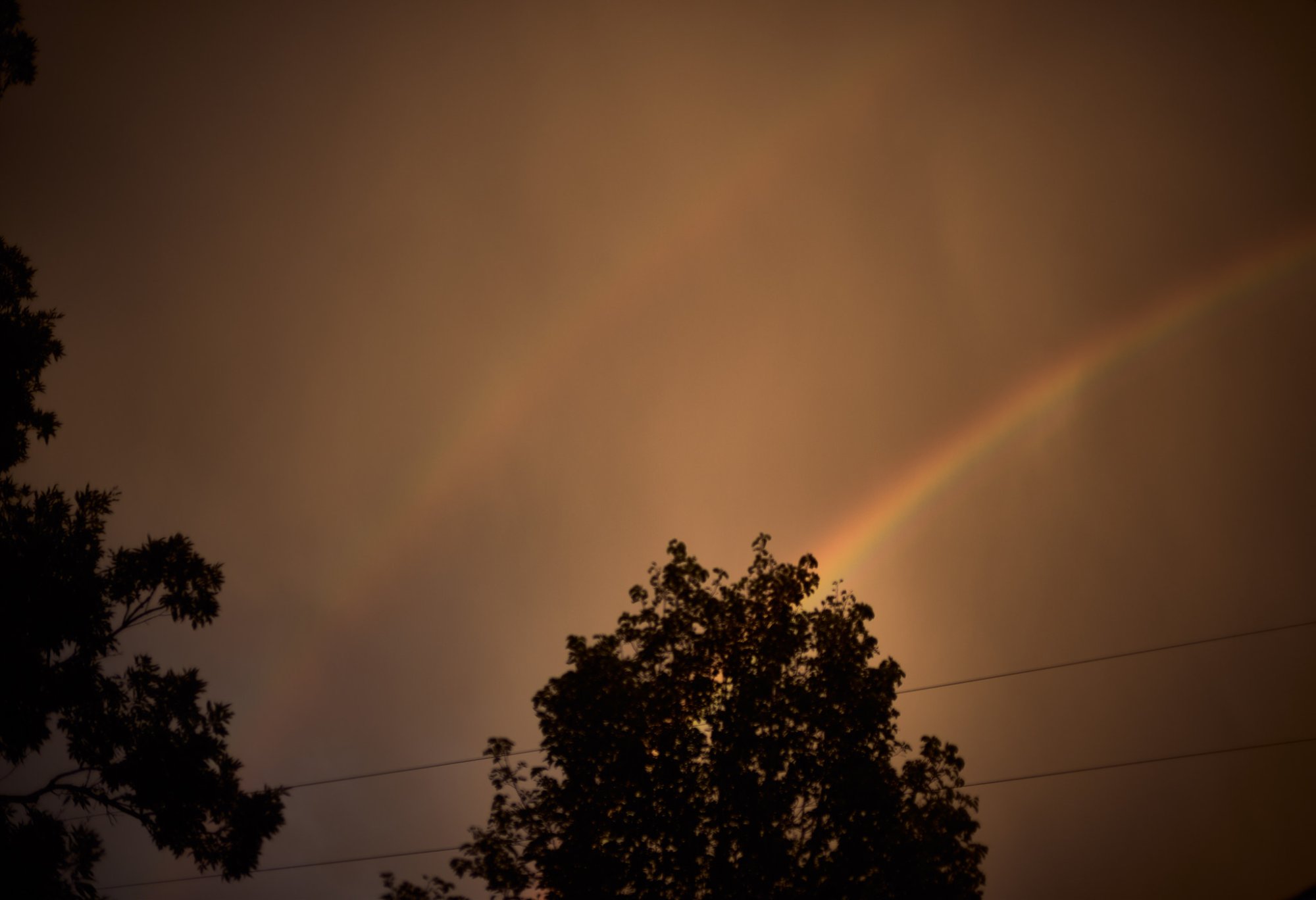 L1003473.jpg