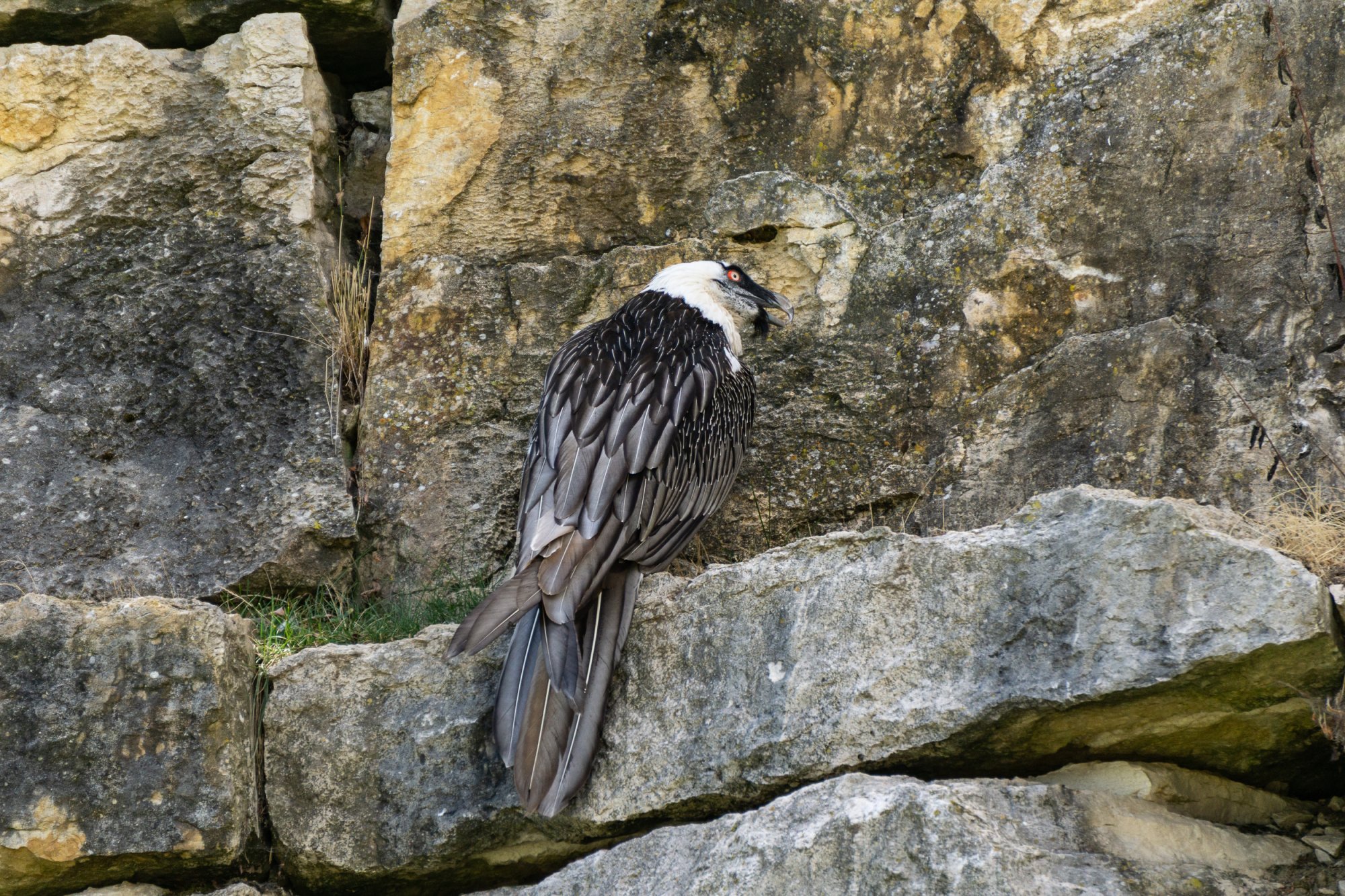 La Garenne Parc - 2500px-10.jpg