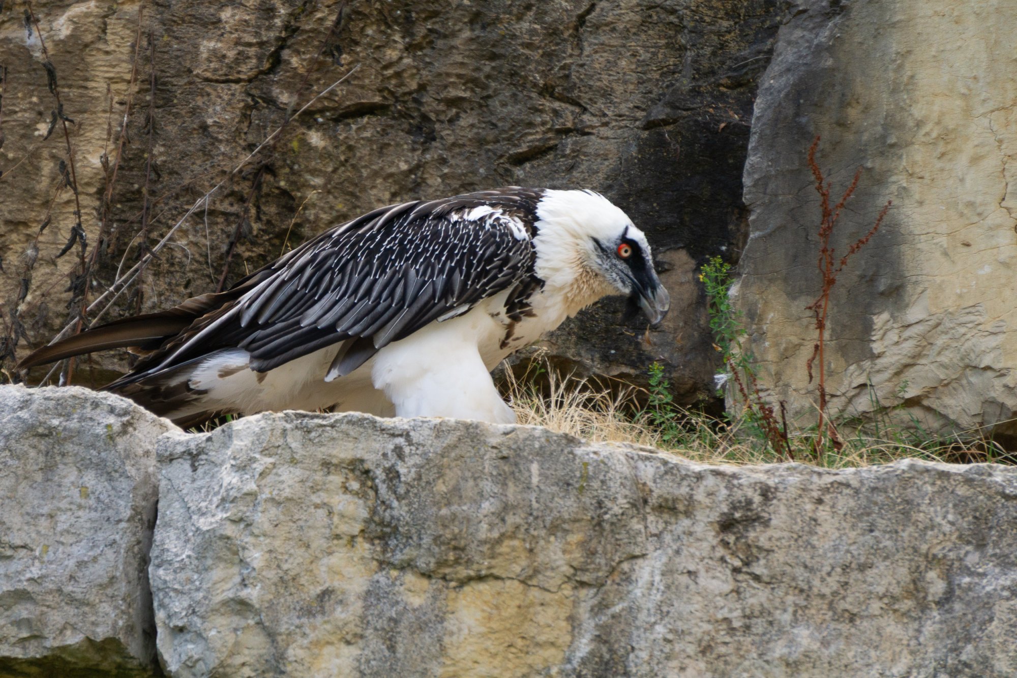 La Garenne Parc - 2500px-12.jpg