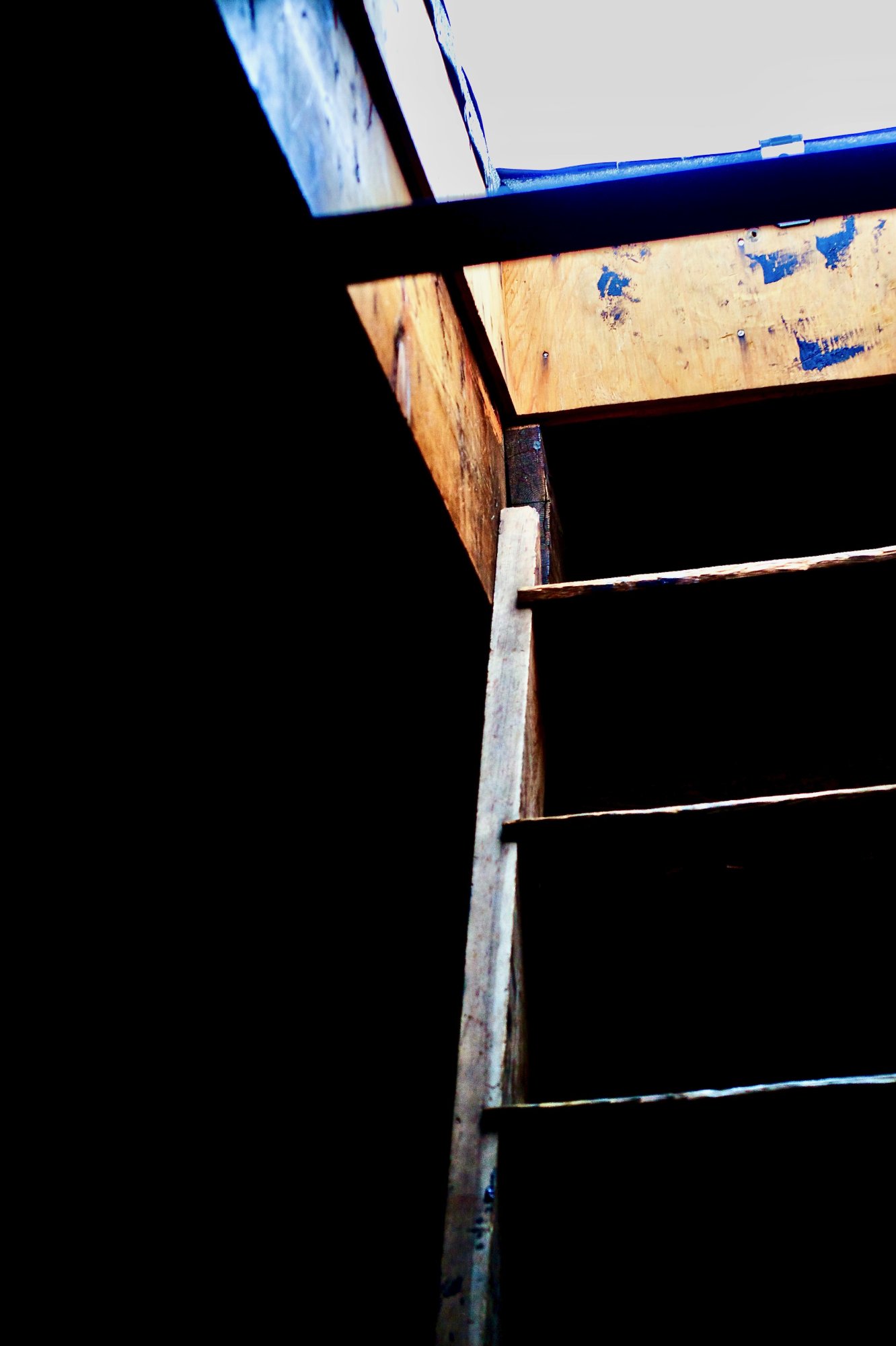 ladder - 1.jpeg