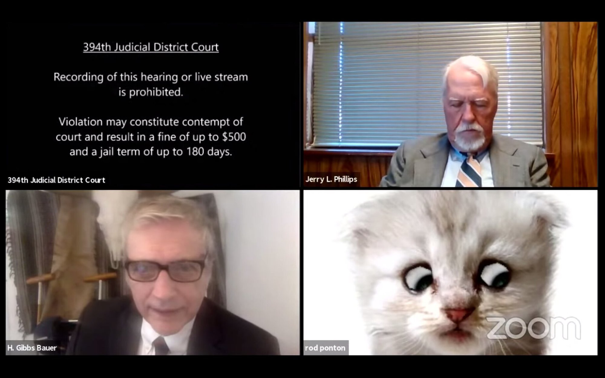 lawyercat.jpg