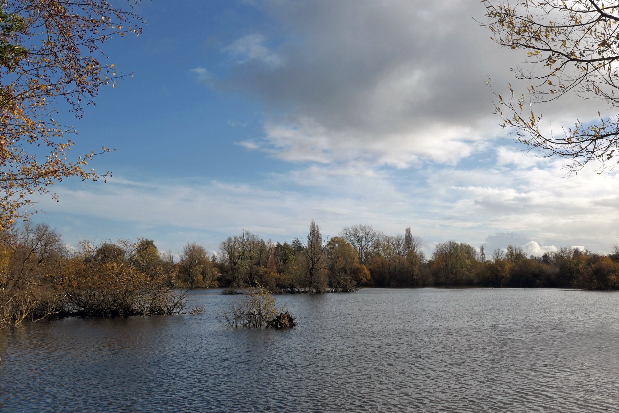 Leybourne Lakes in December.JPG