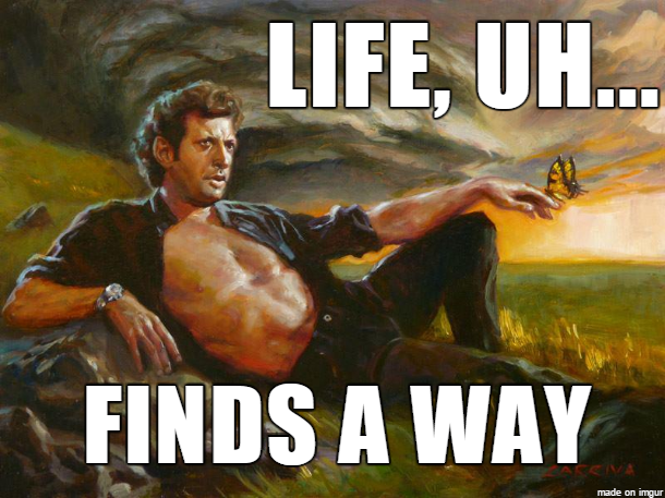 Life-Finds-A-Way[1].png