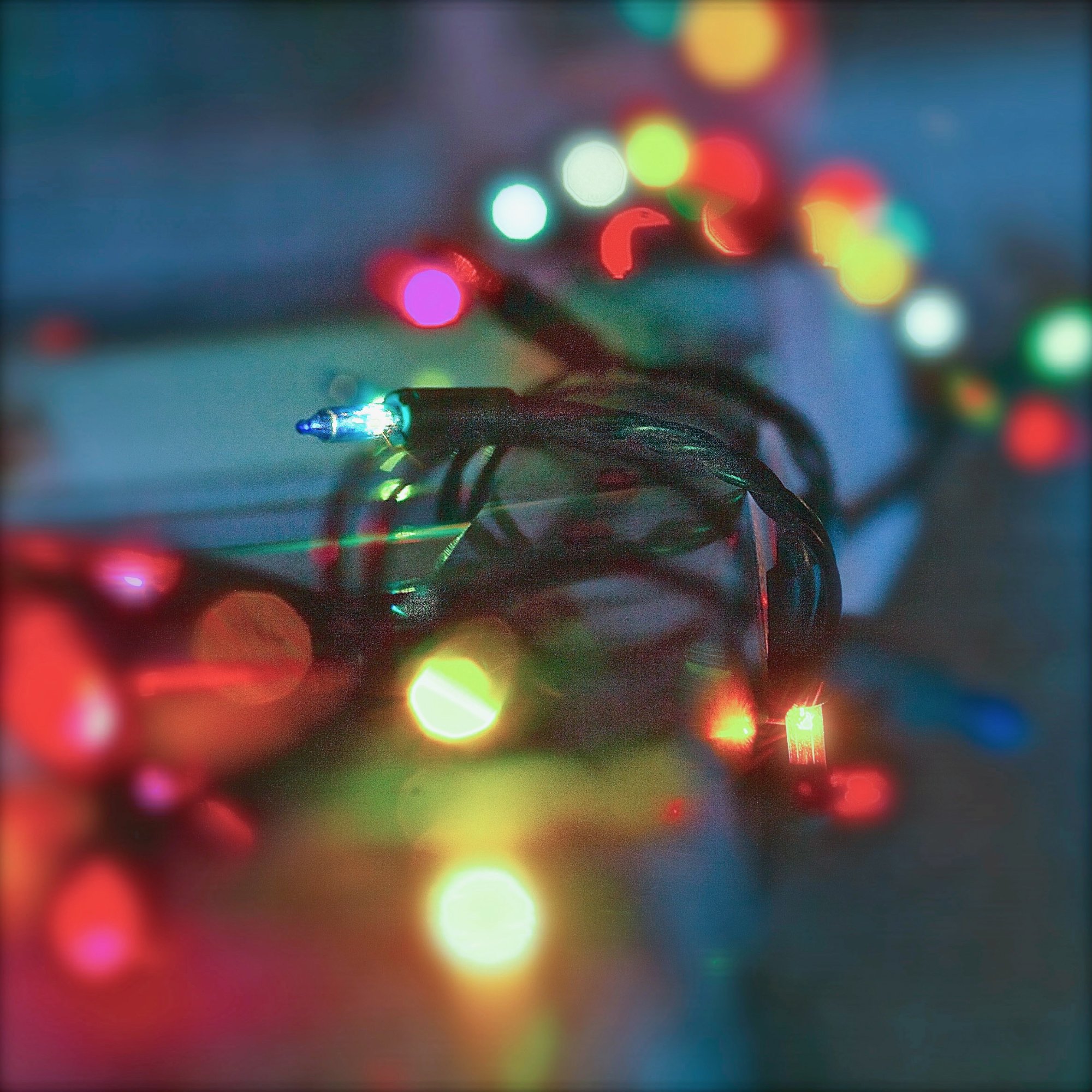 lights - 1.jpeg