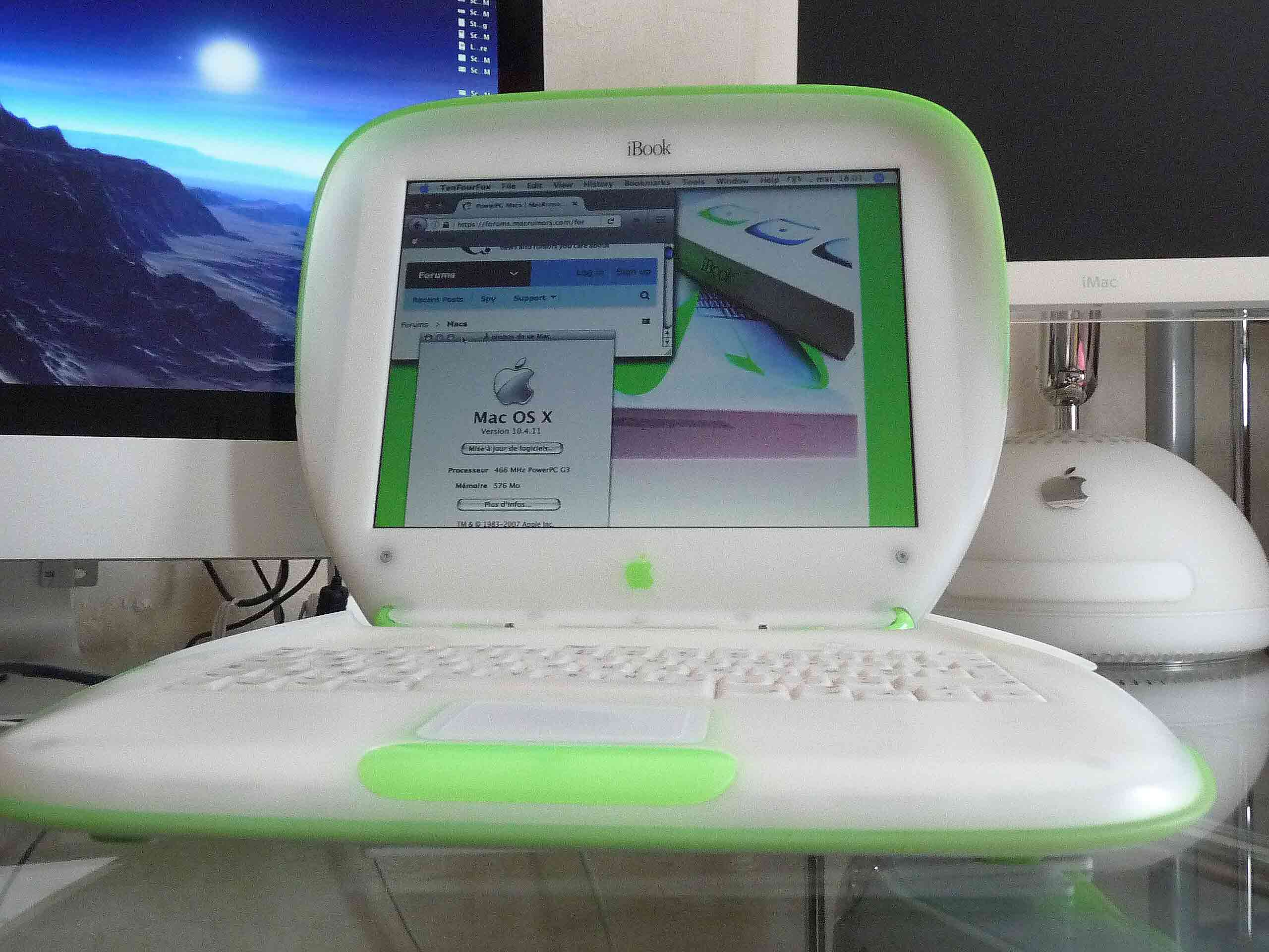 LimeClam3.jpg