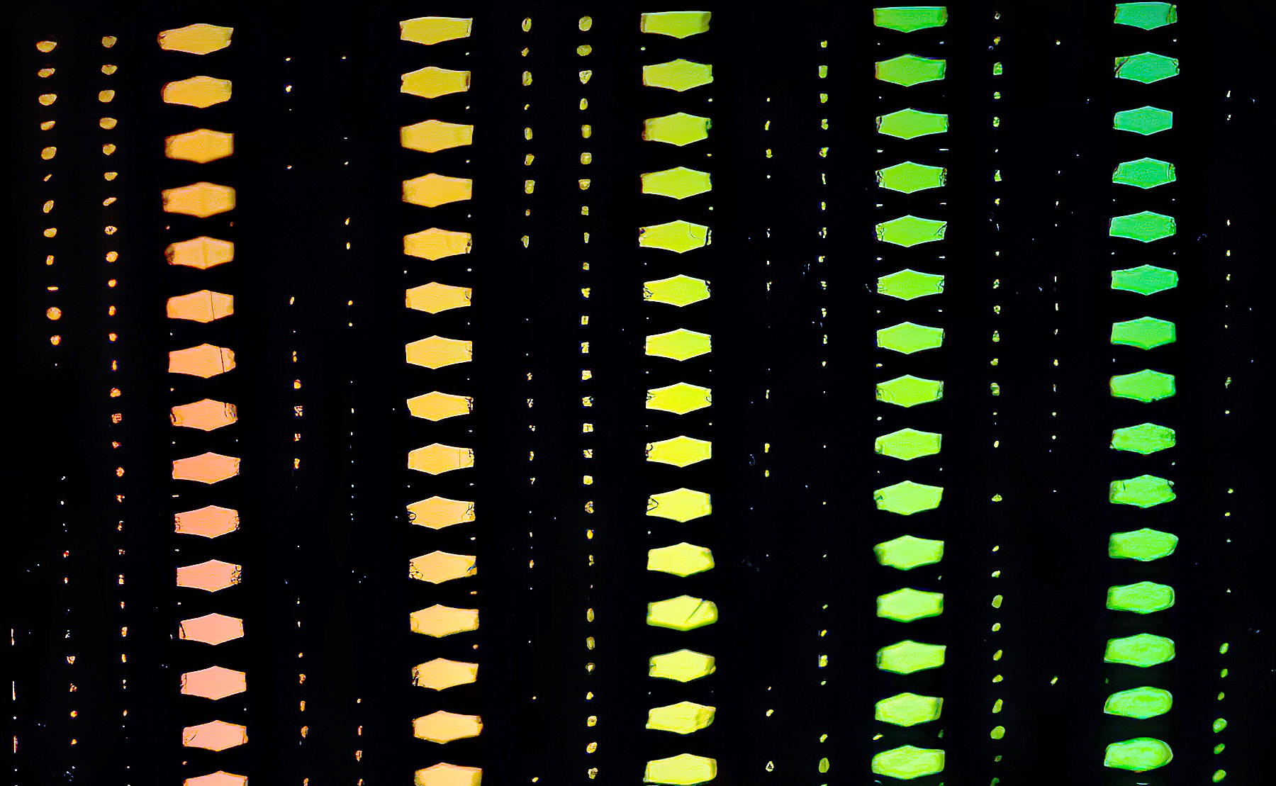 Lines of Color.jpeg
